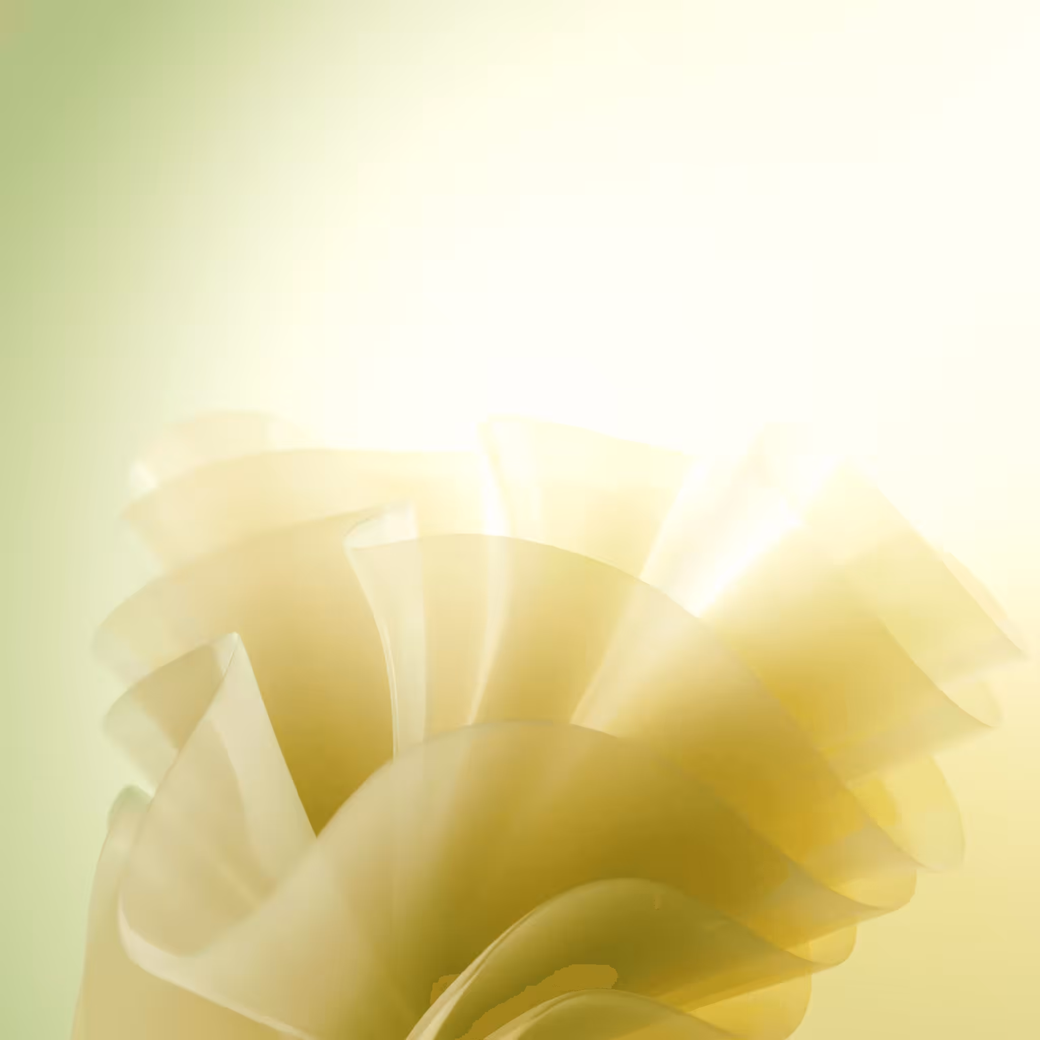 Flower plastic #03