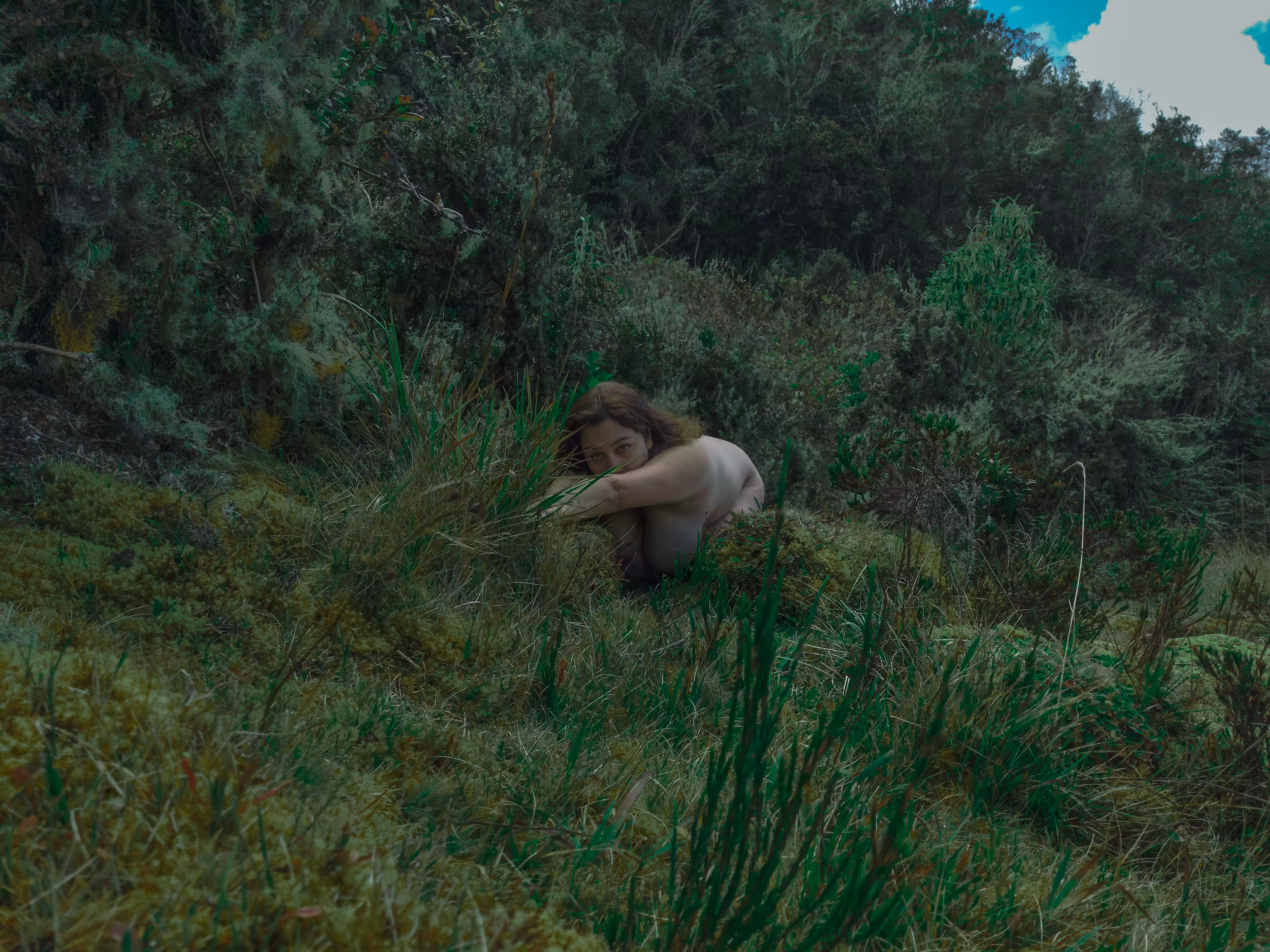Eden in the woods: Daylight