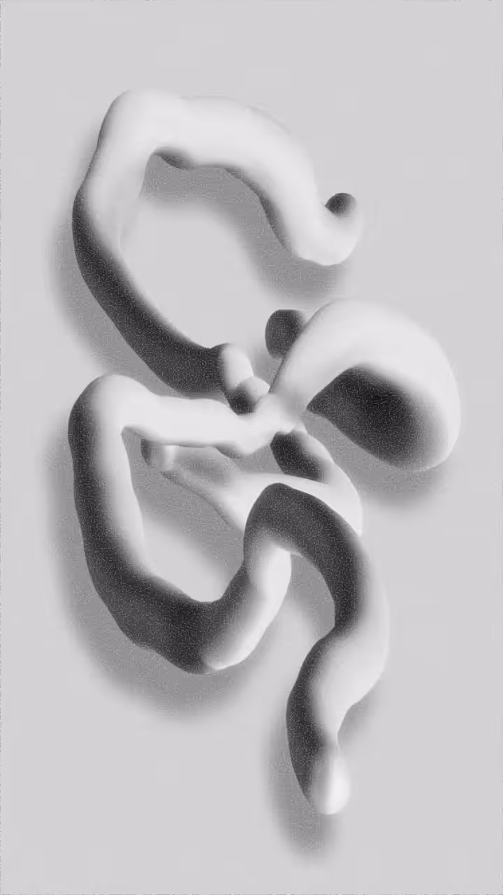 No.185 (from white series)