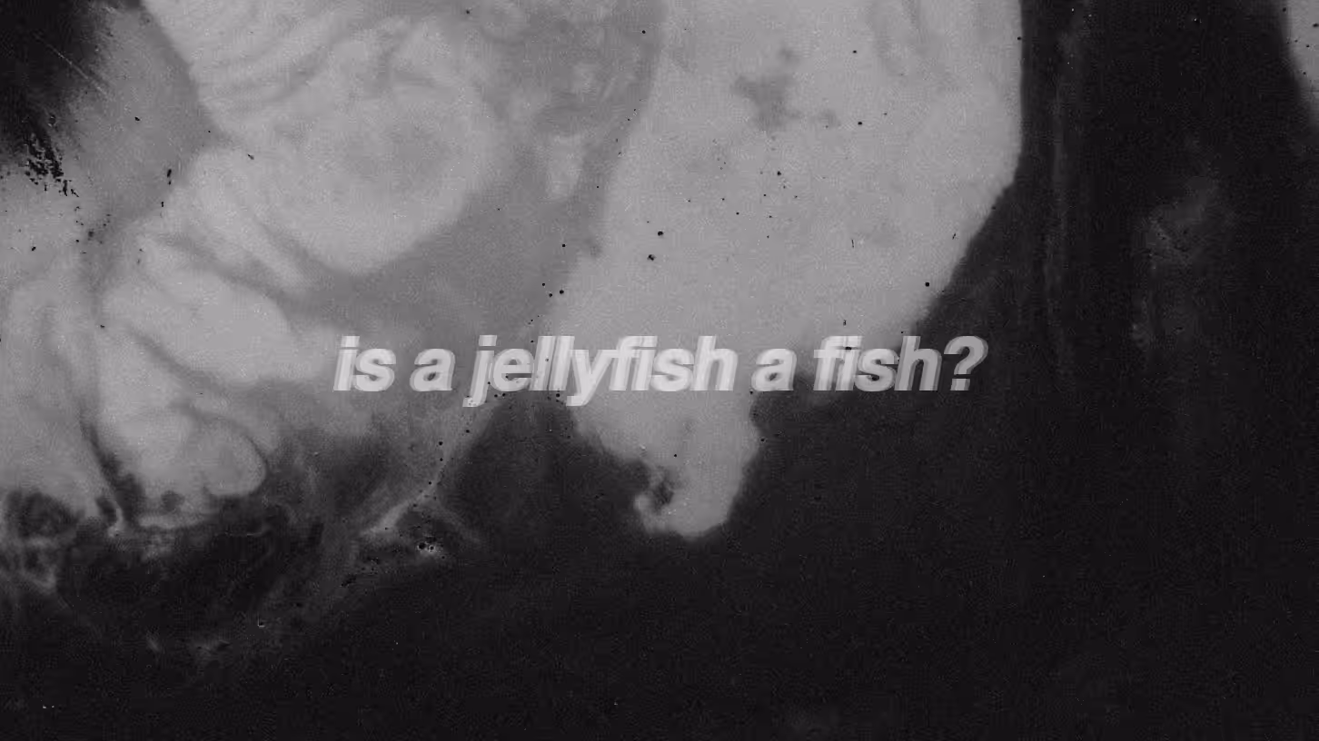 IS A JELLYFISH A FISH? #3