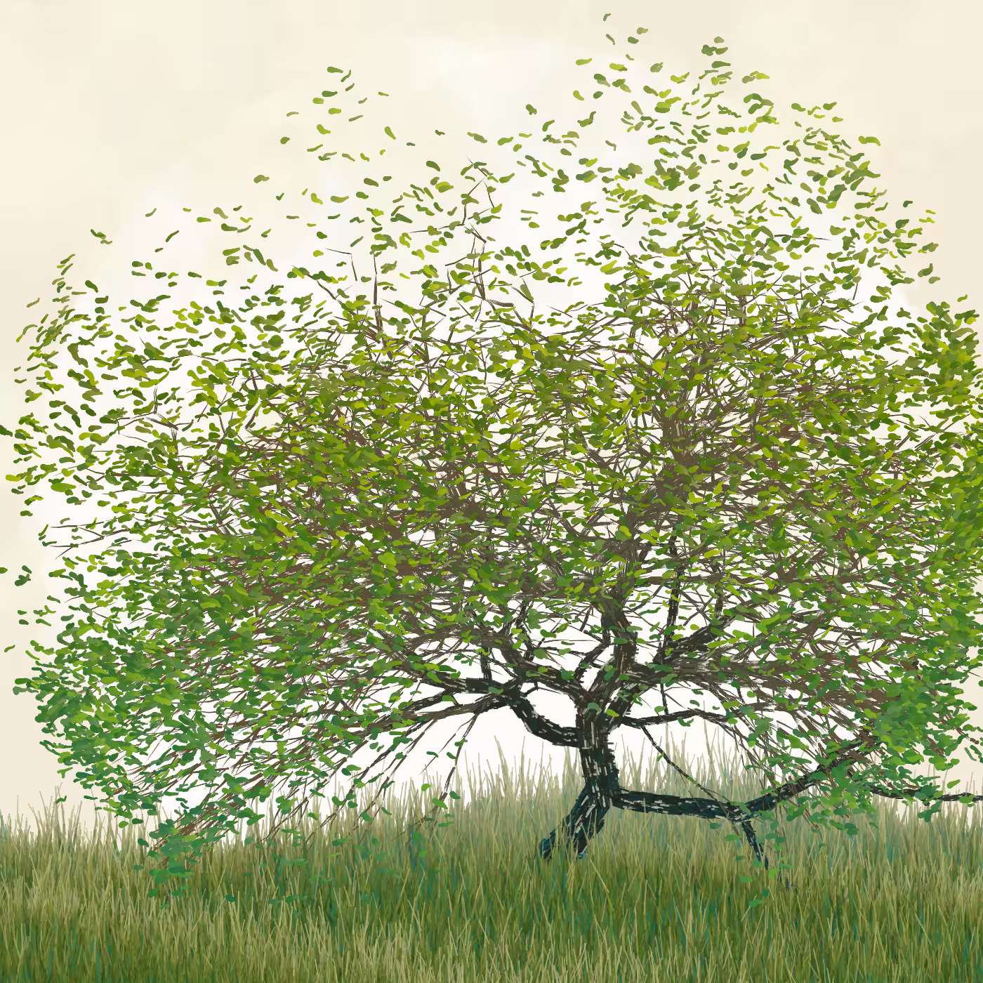 Ornamental Tree #142