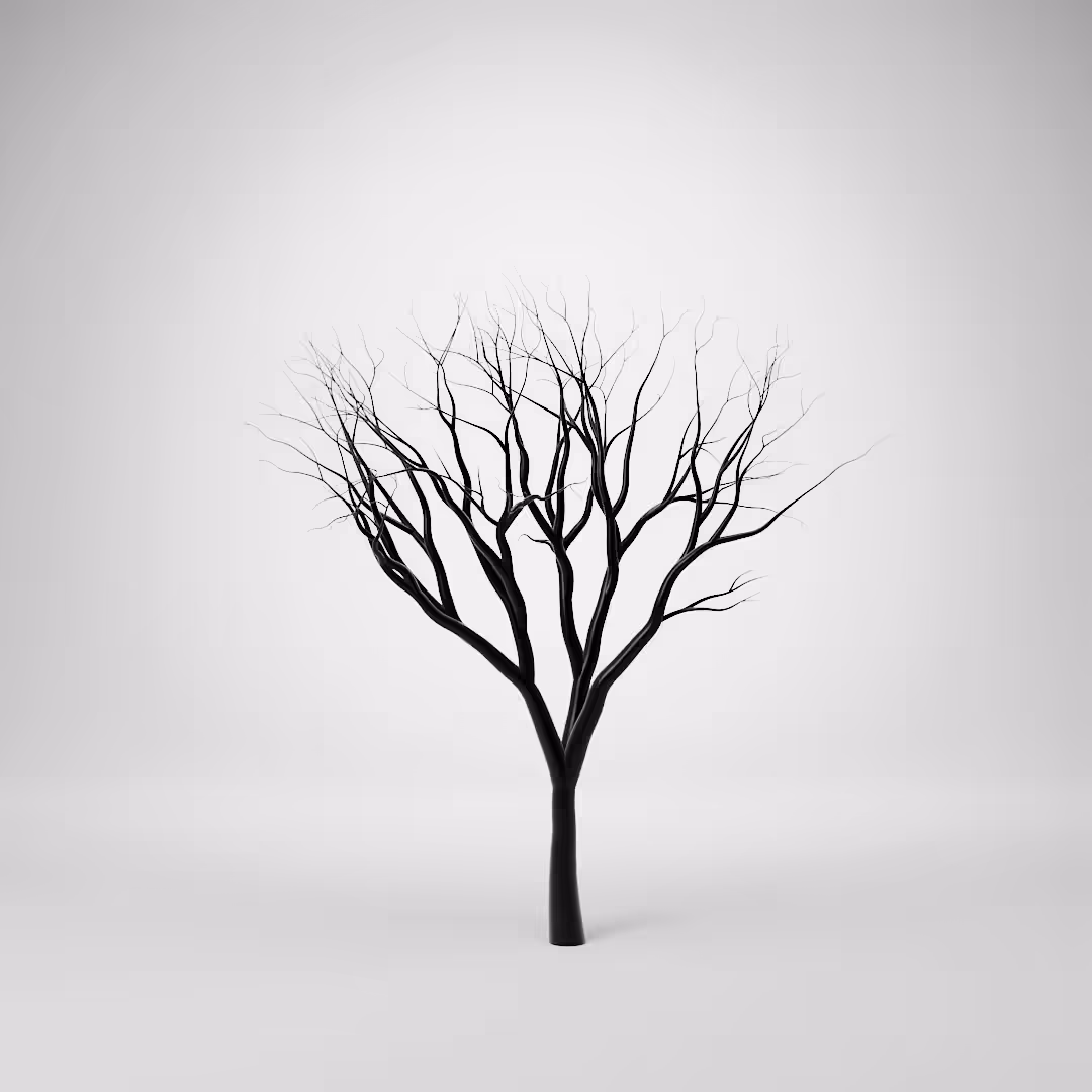 Seasonality