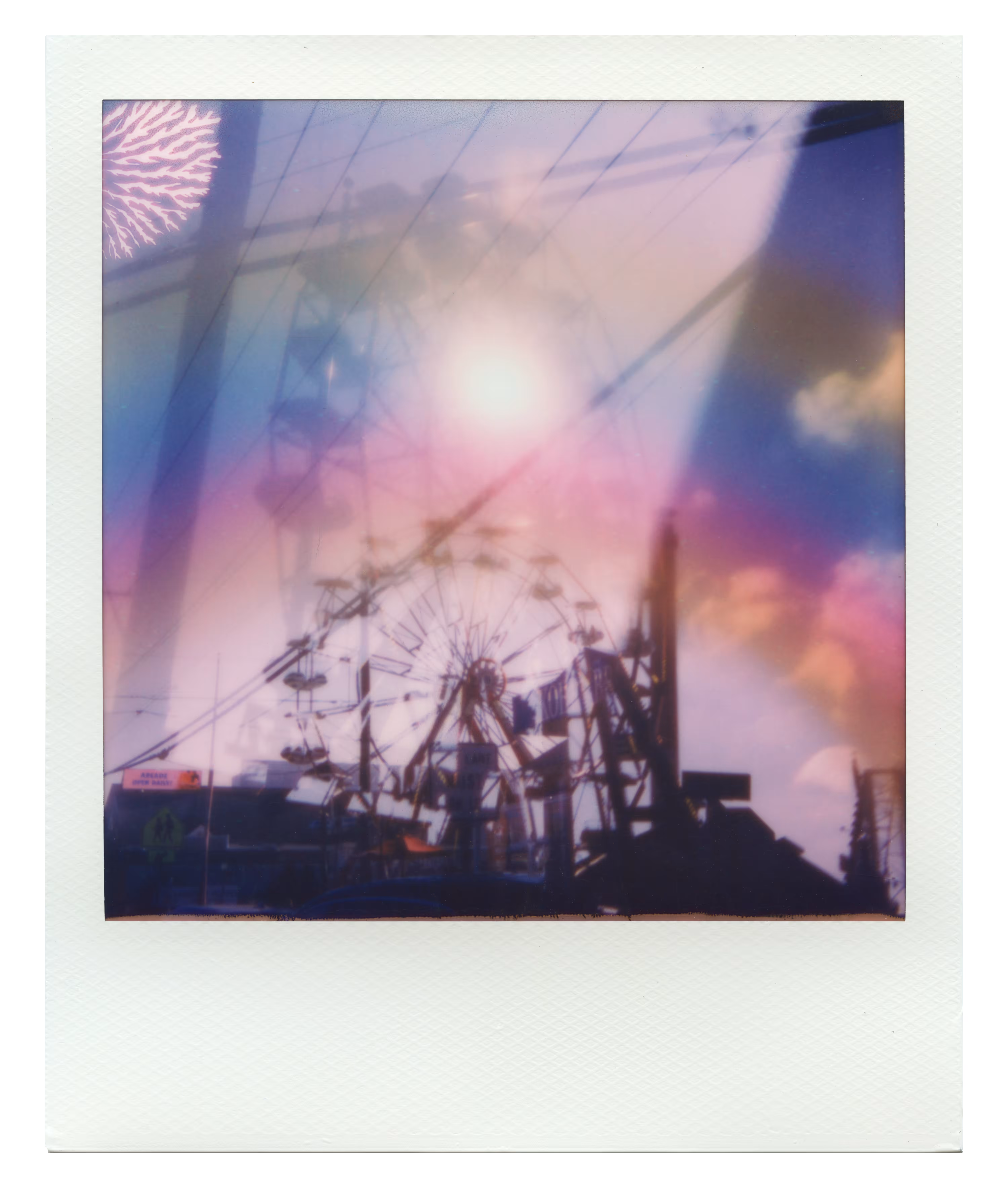 Endless Summer  |  19  | Manifestation