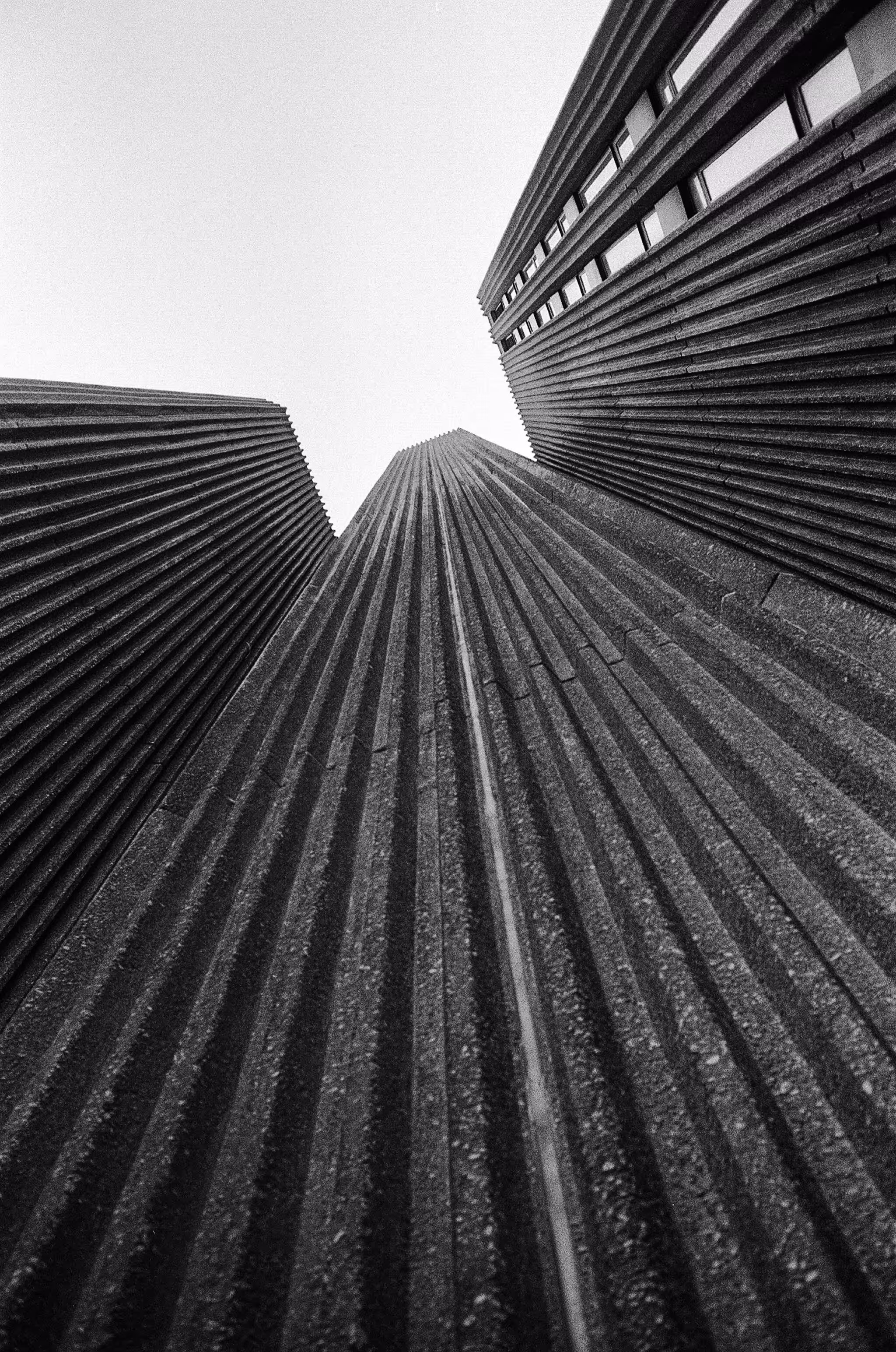 Film Photography
