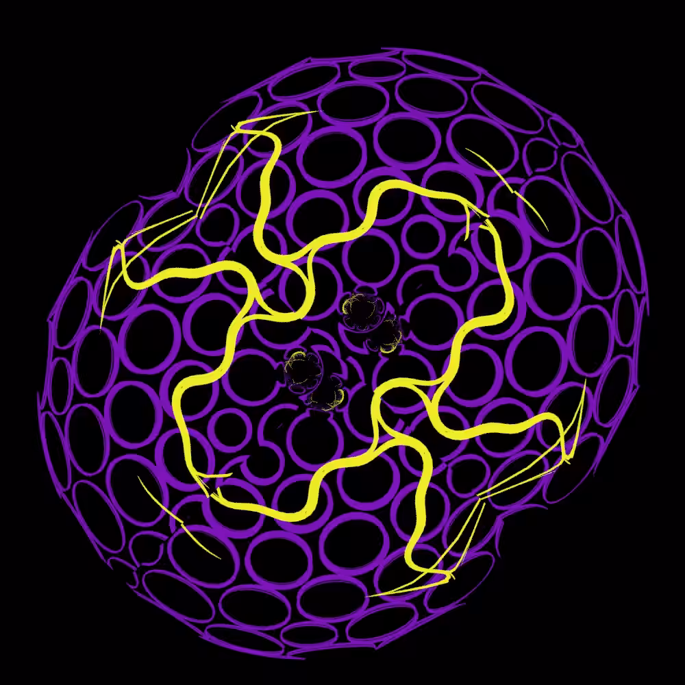 Geo Spin