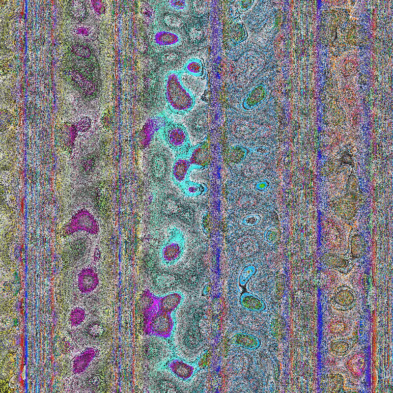 Bacteria Scanner #17