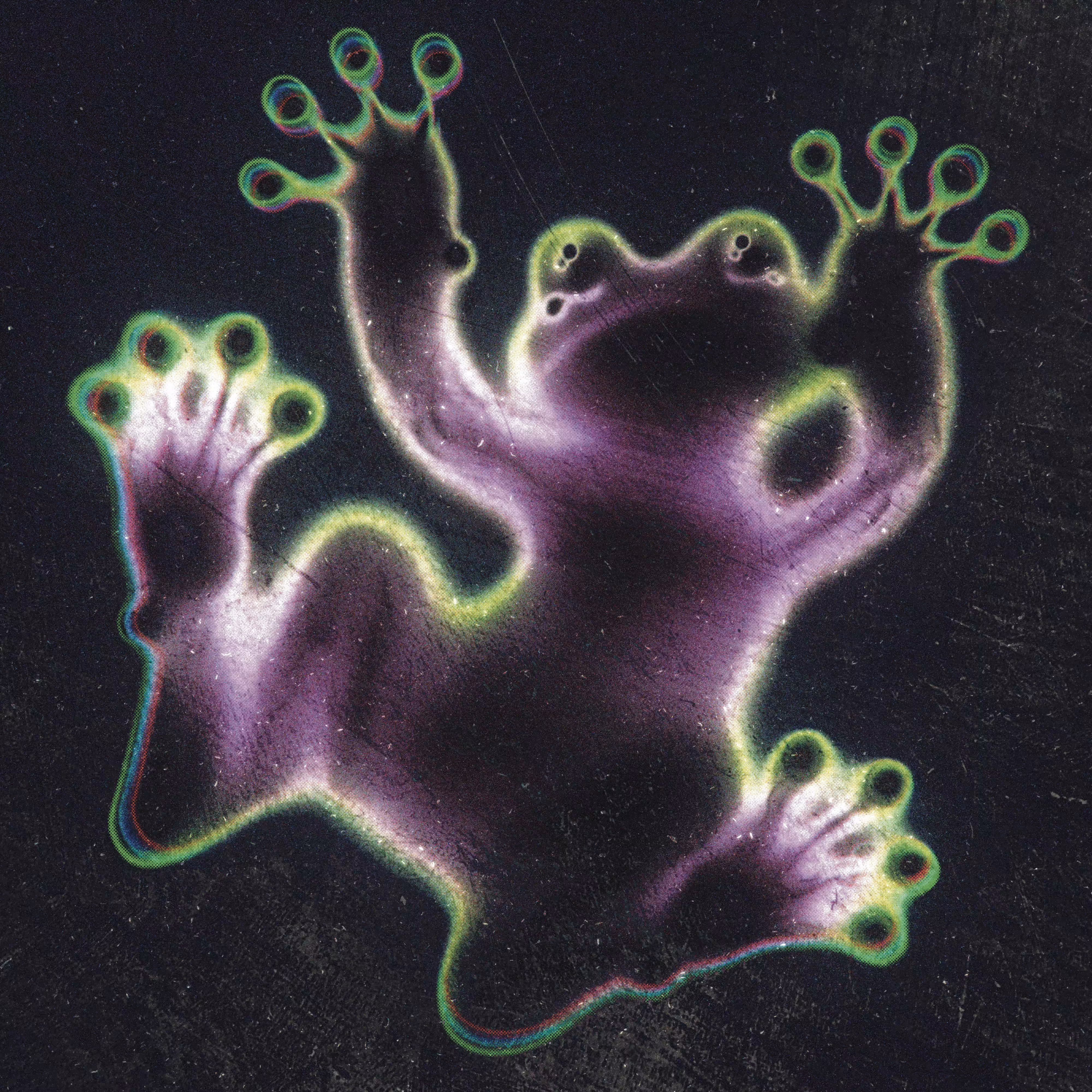 Froggy 🐸