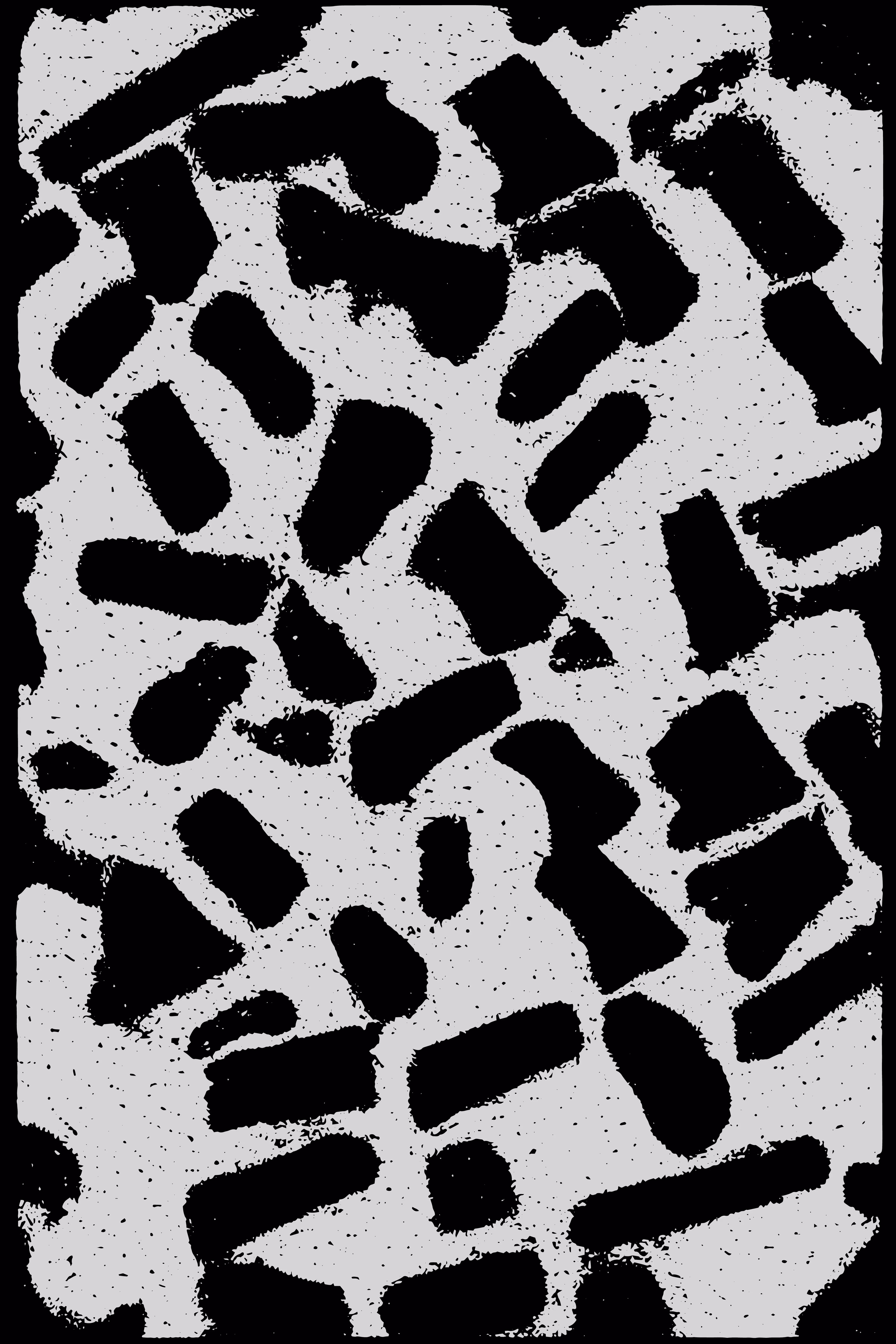 DEBRIS #27