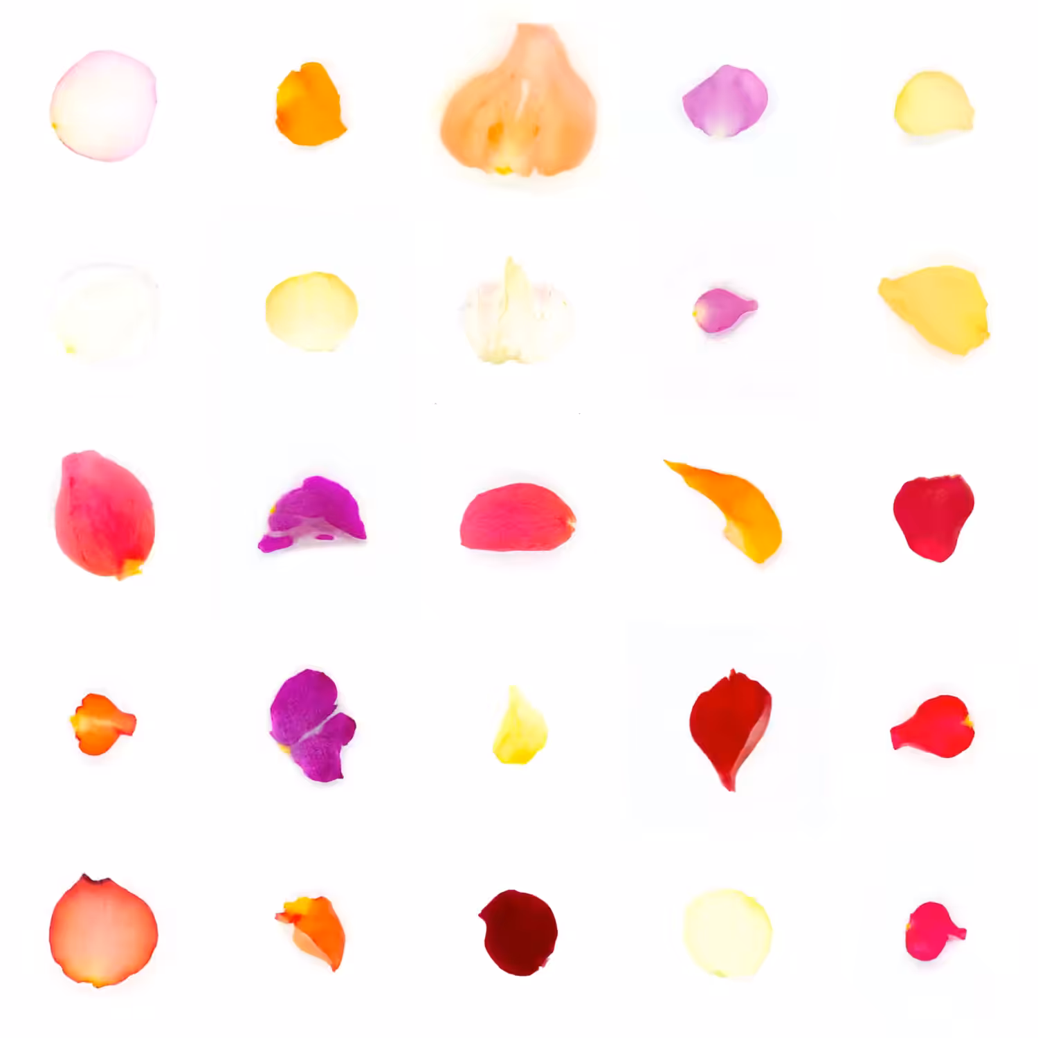 Infinite Petals 5x5#2042