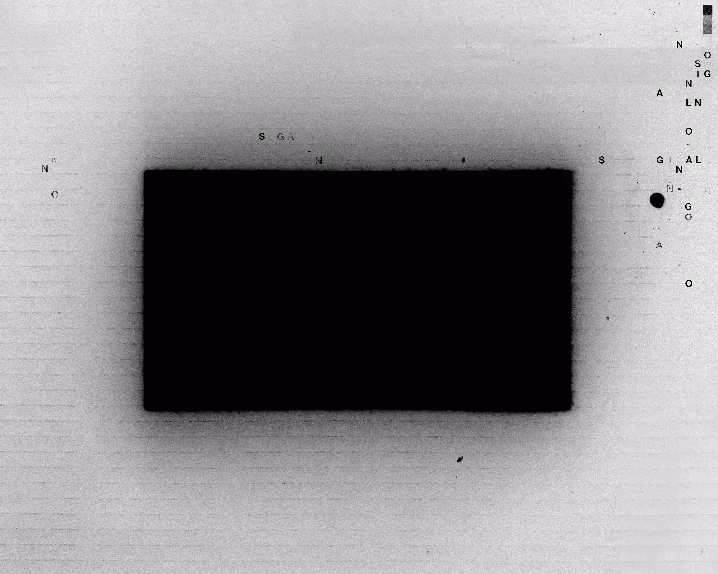 No Signal 01