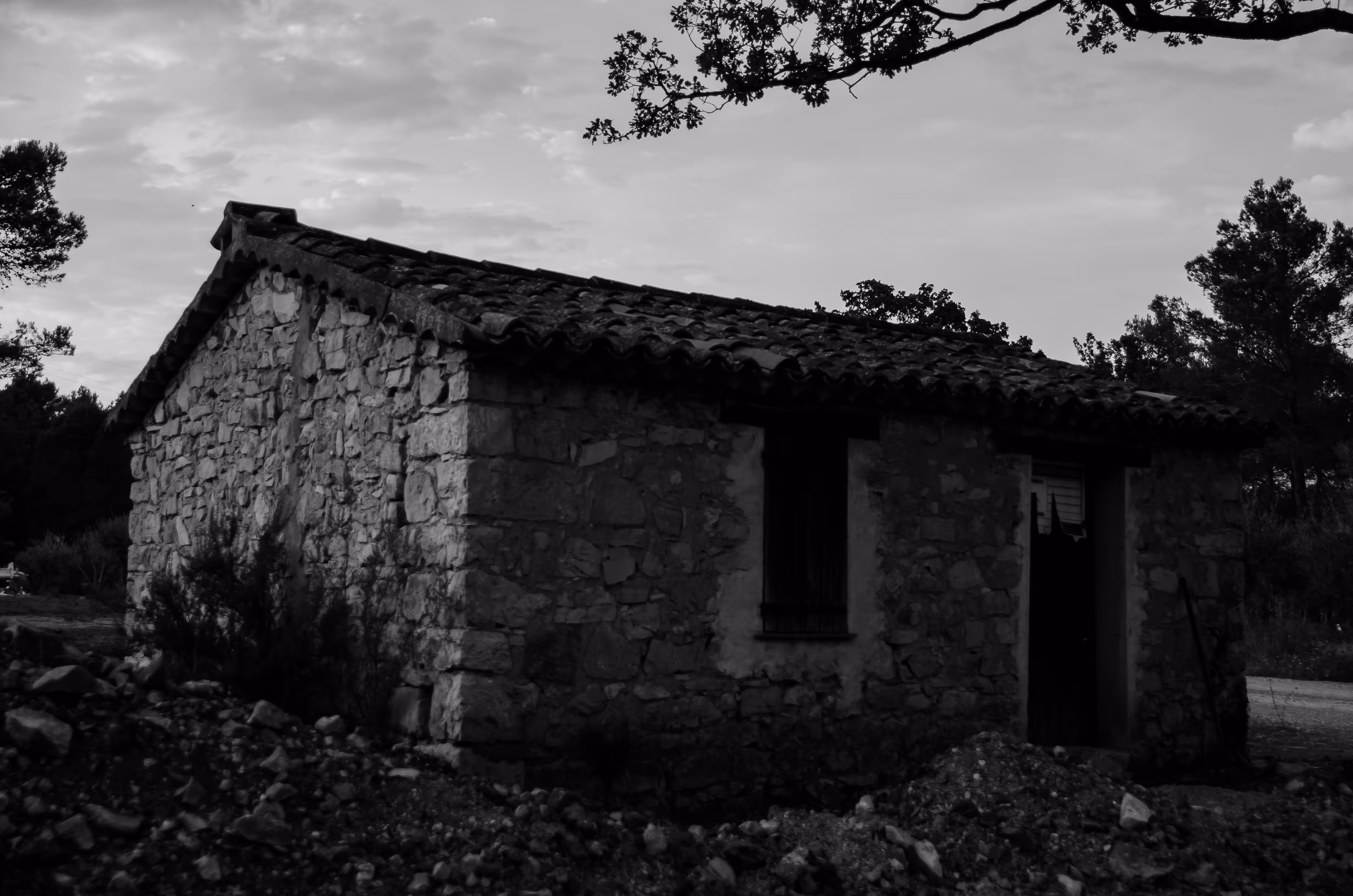 Campaign House