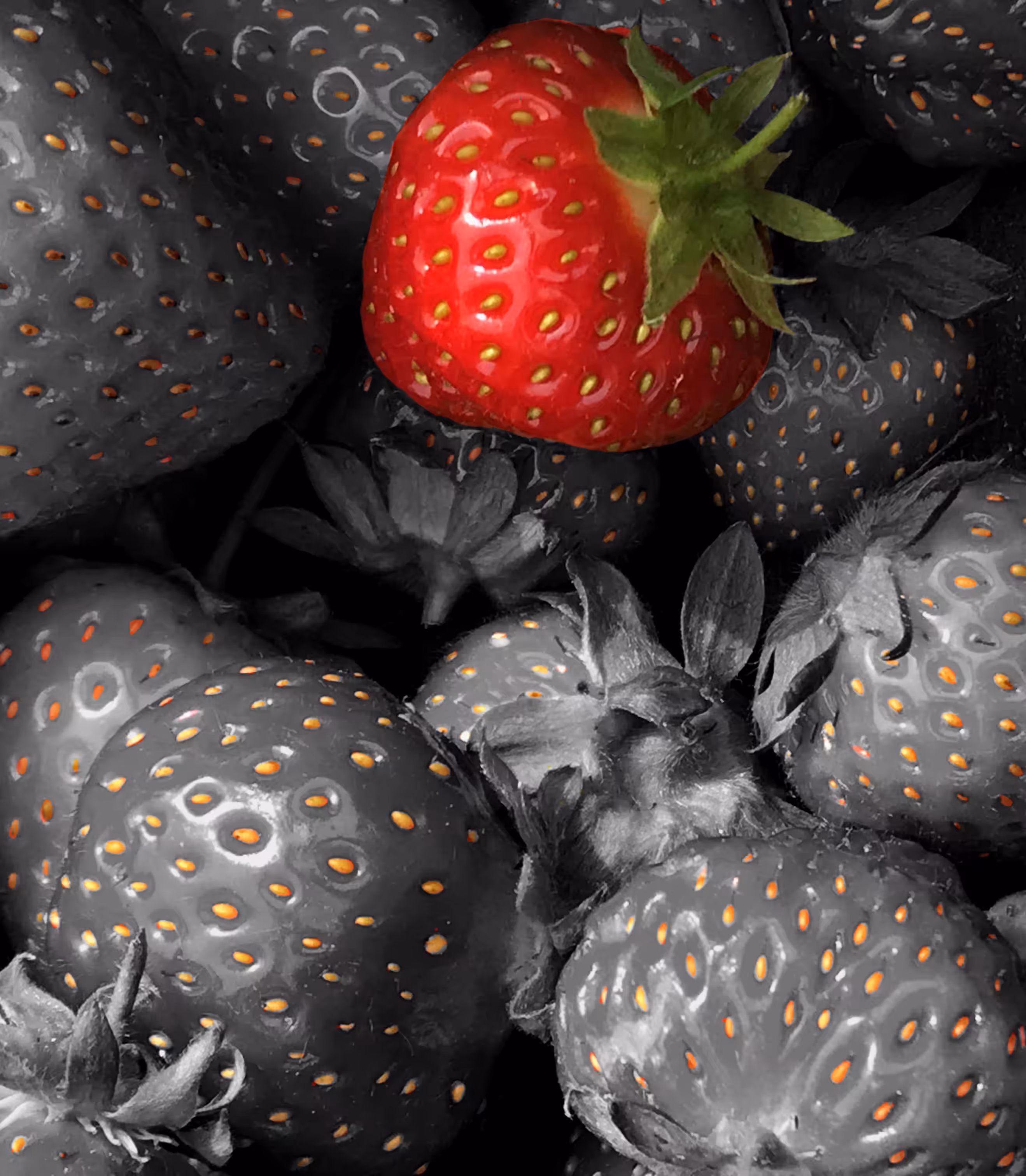 Delicious Summer