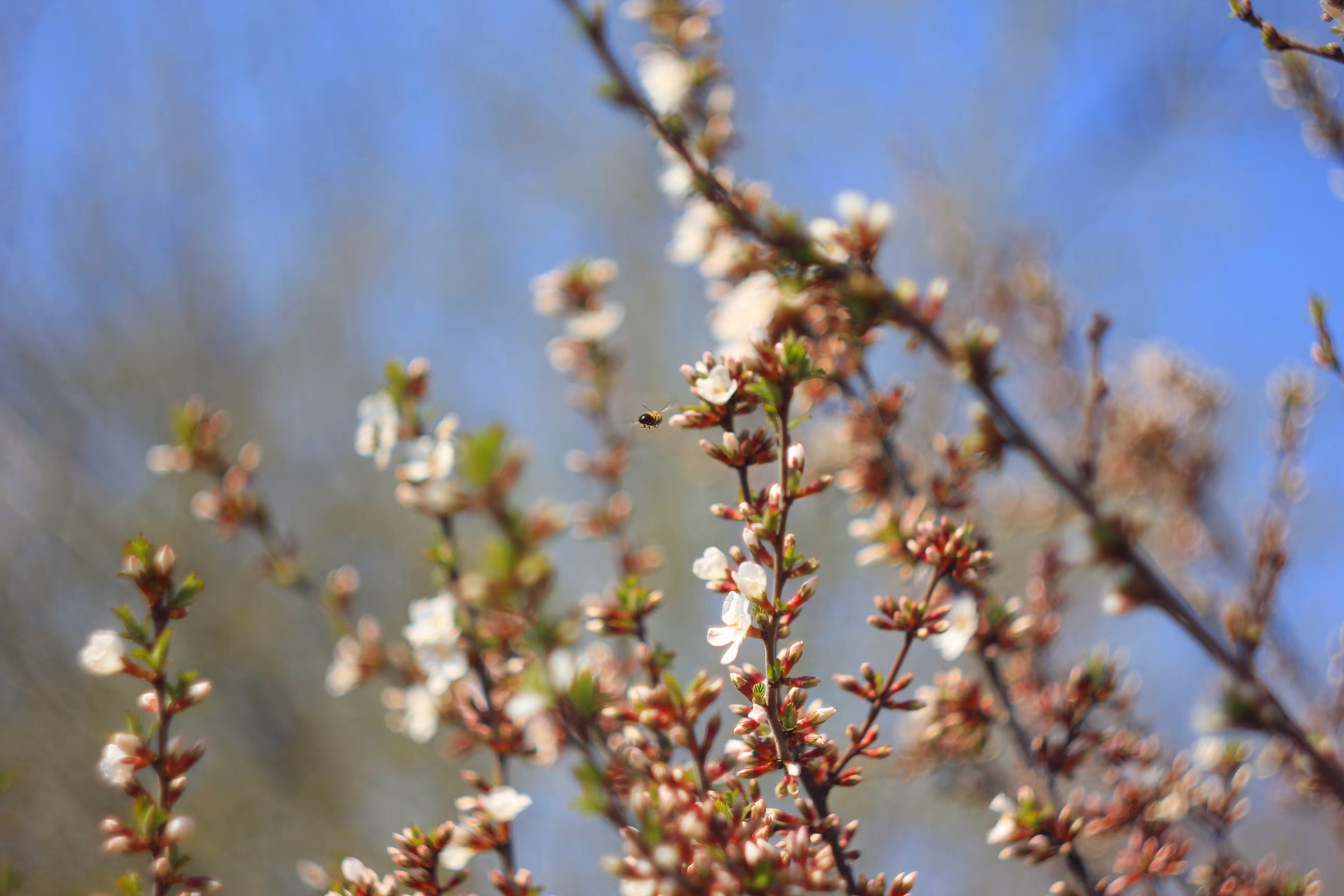 May