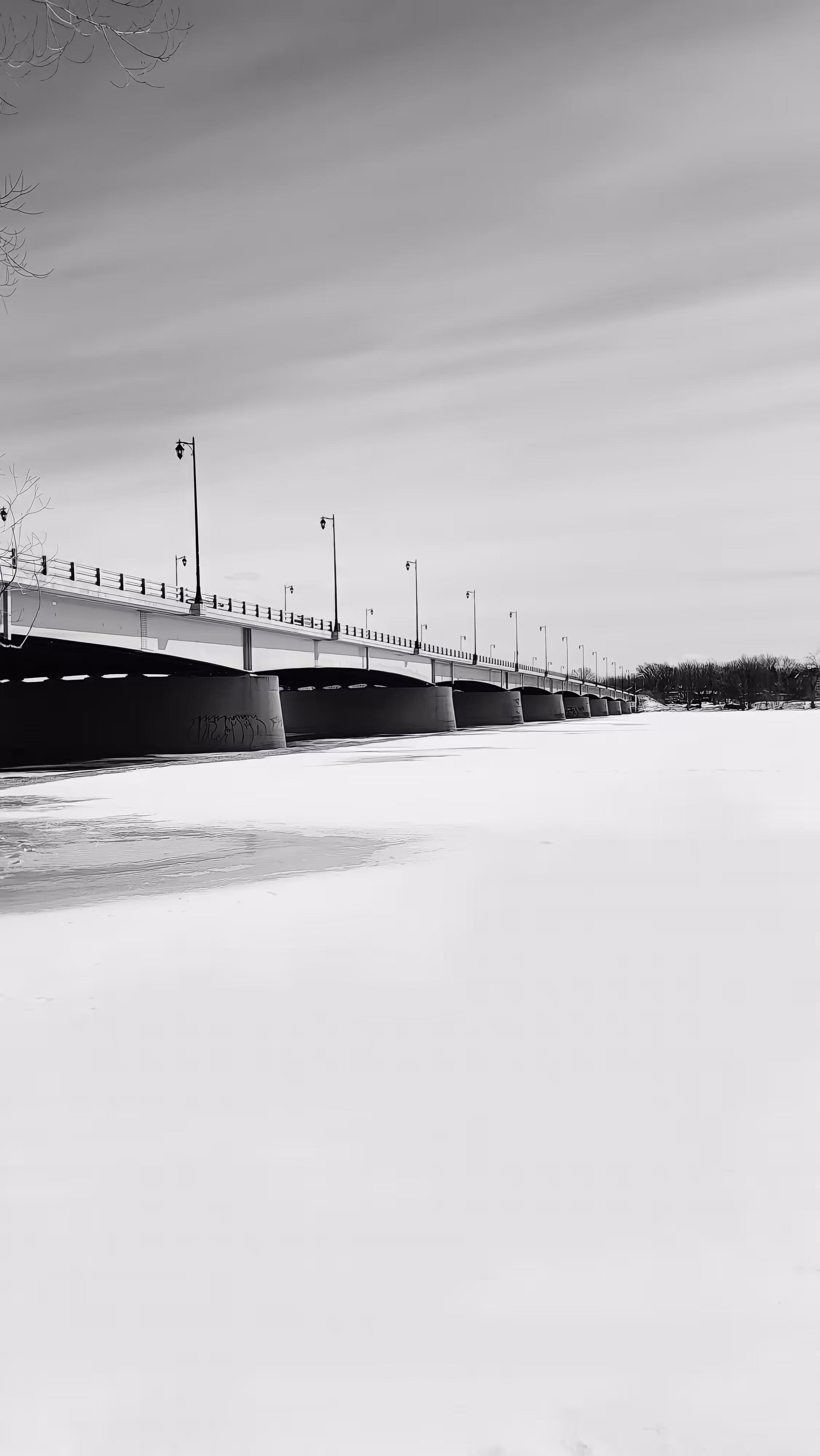 Bridge #01