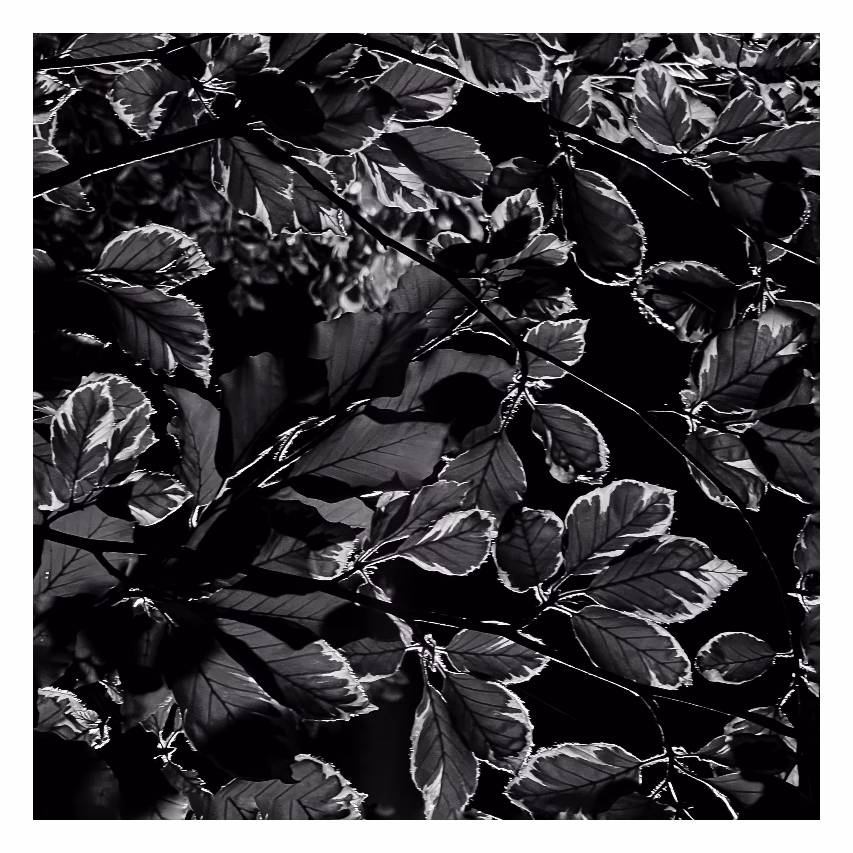 Stroll: July 22, 2023 • 10:50pm