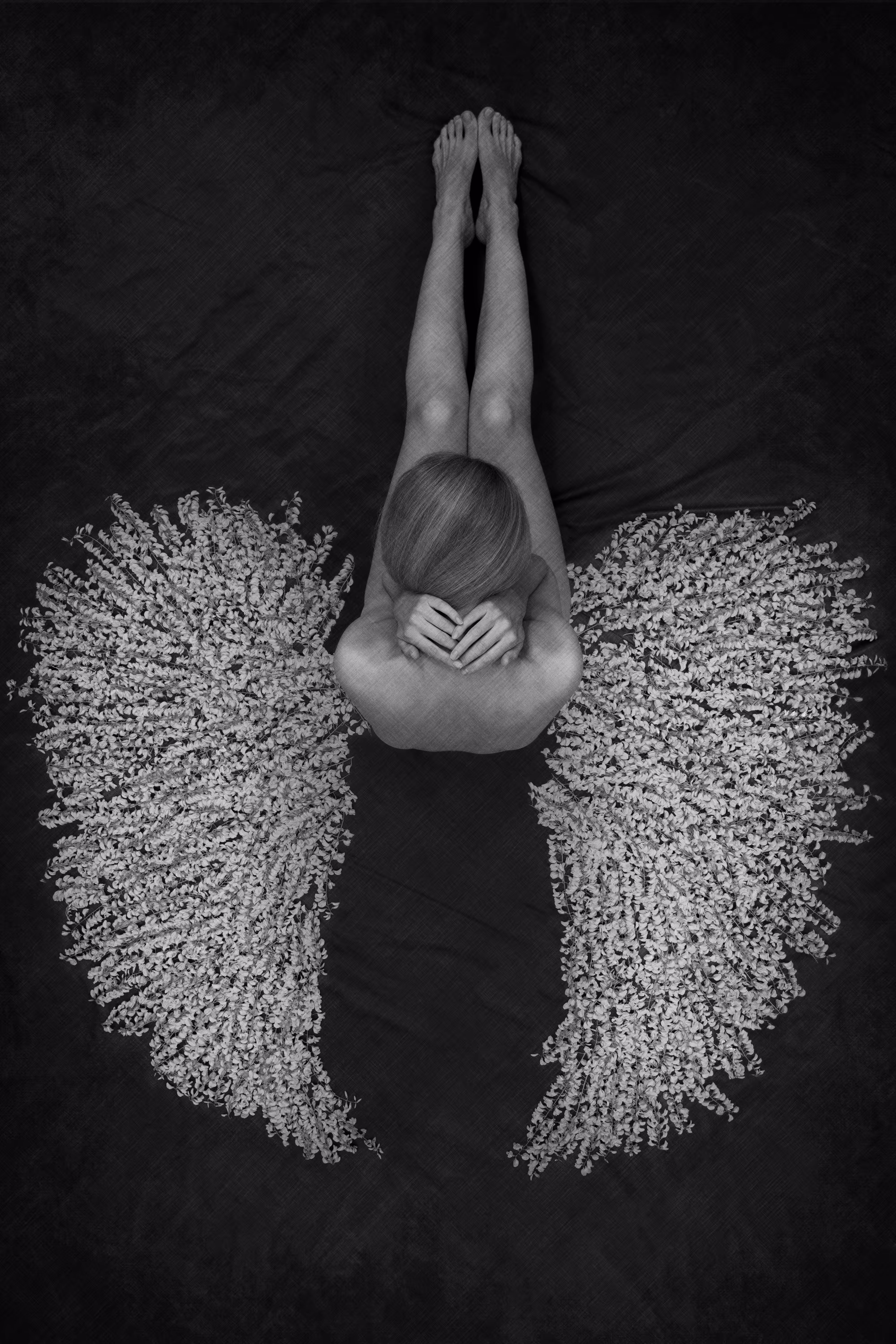 Fallen Angel