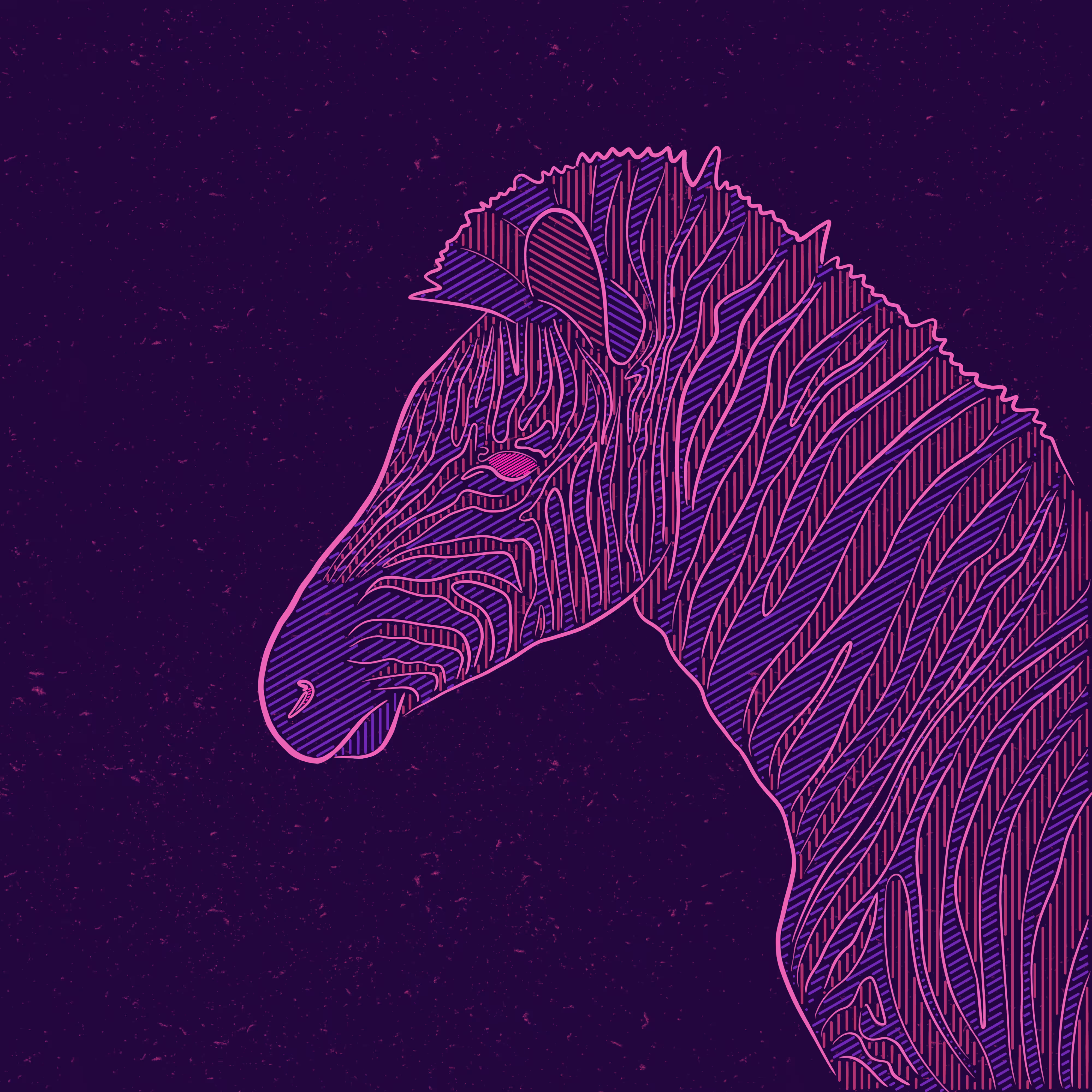Zebra la#08