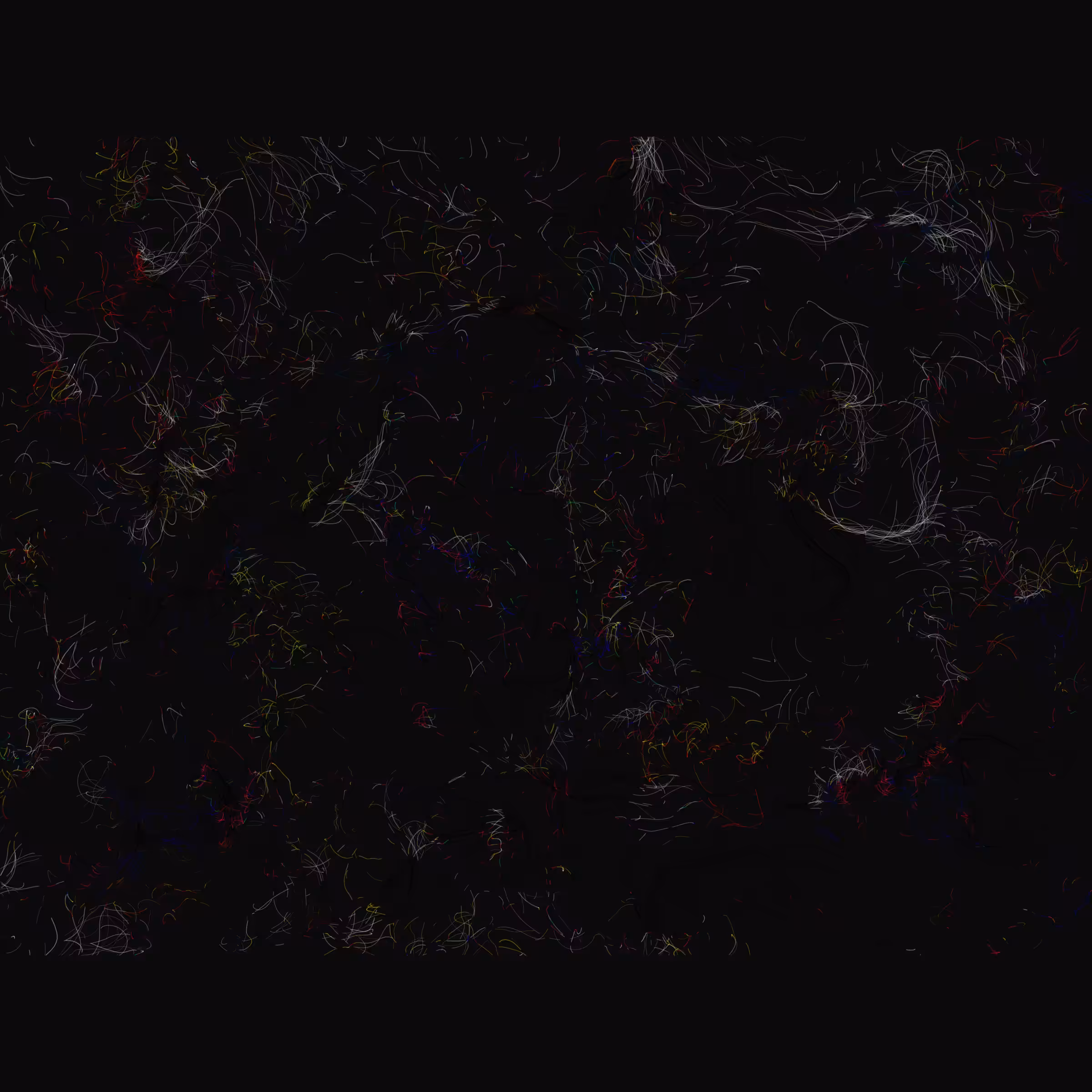 ₱₳Ɽ₳Đł₴Ɇ ⱧɆ₳Ɽ₮