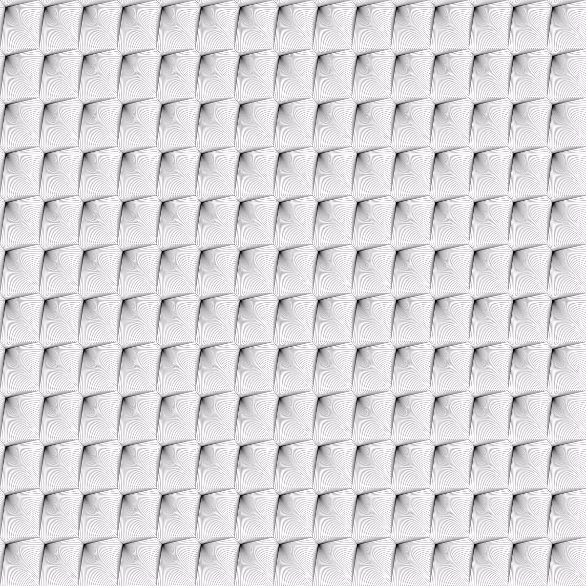 Noir et Blanc #61
