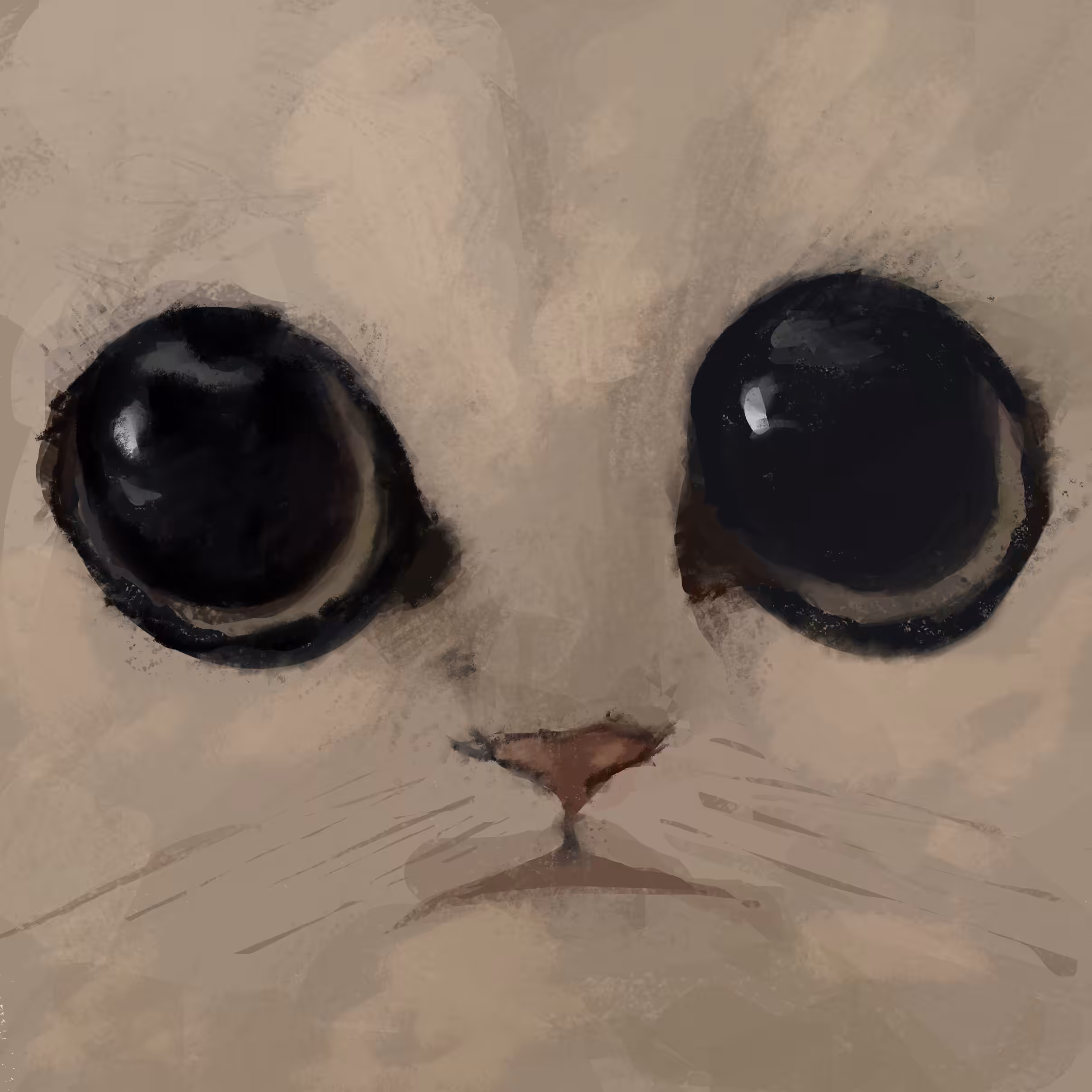 Meow