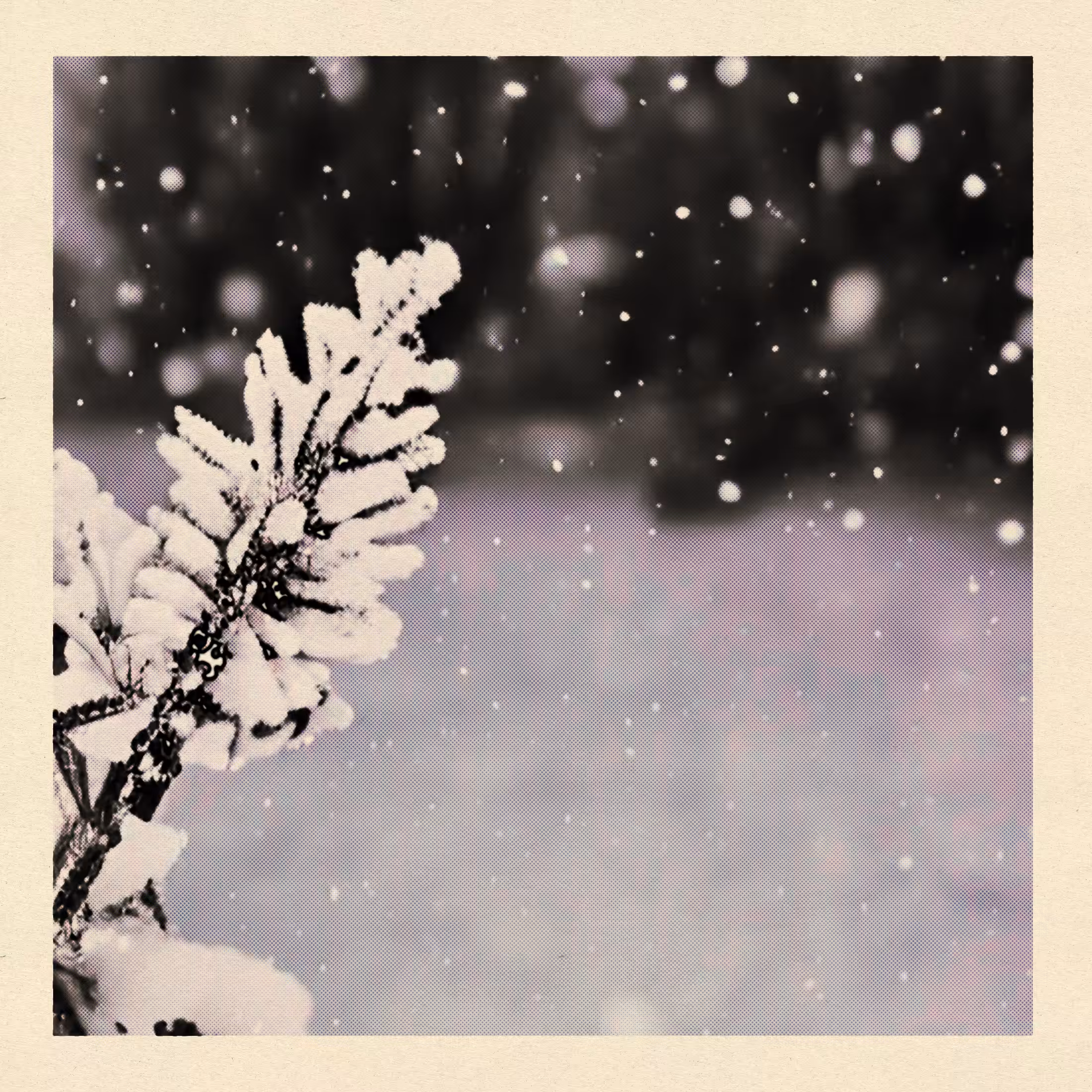 Card #19