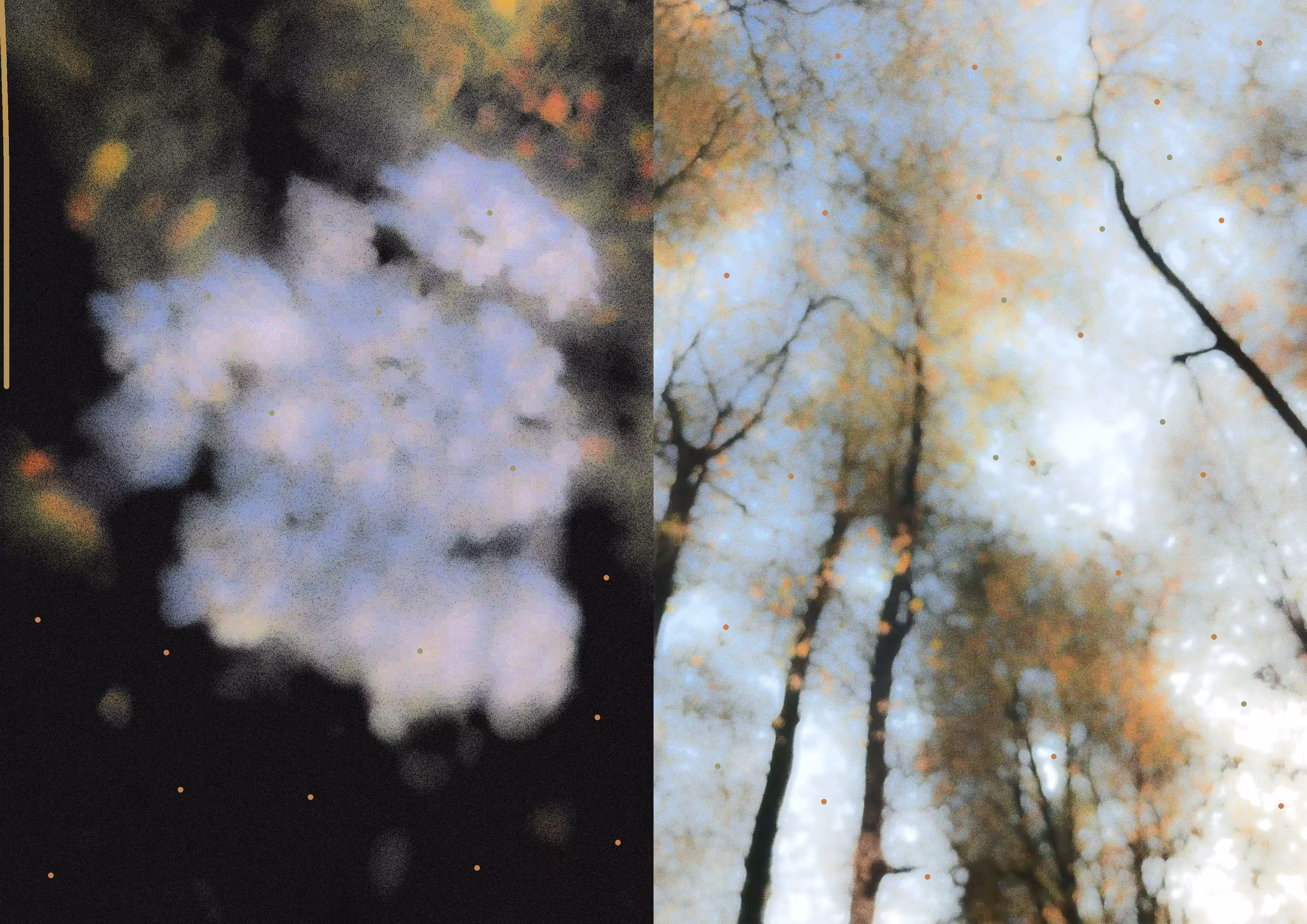 surrounded by falling leaves