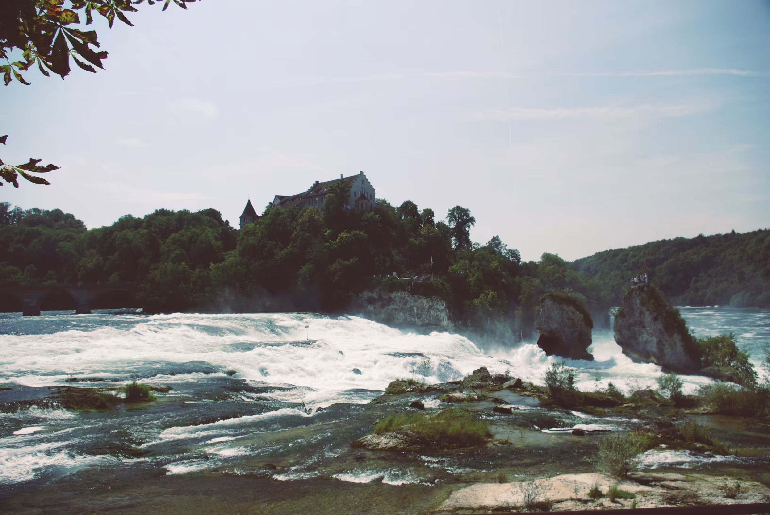The Rheinfall Rapids
