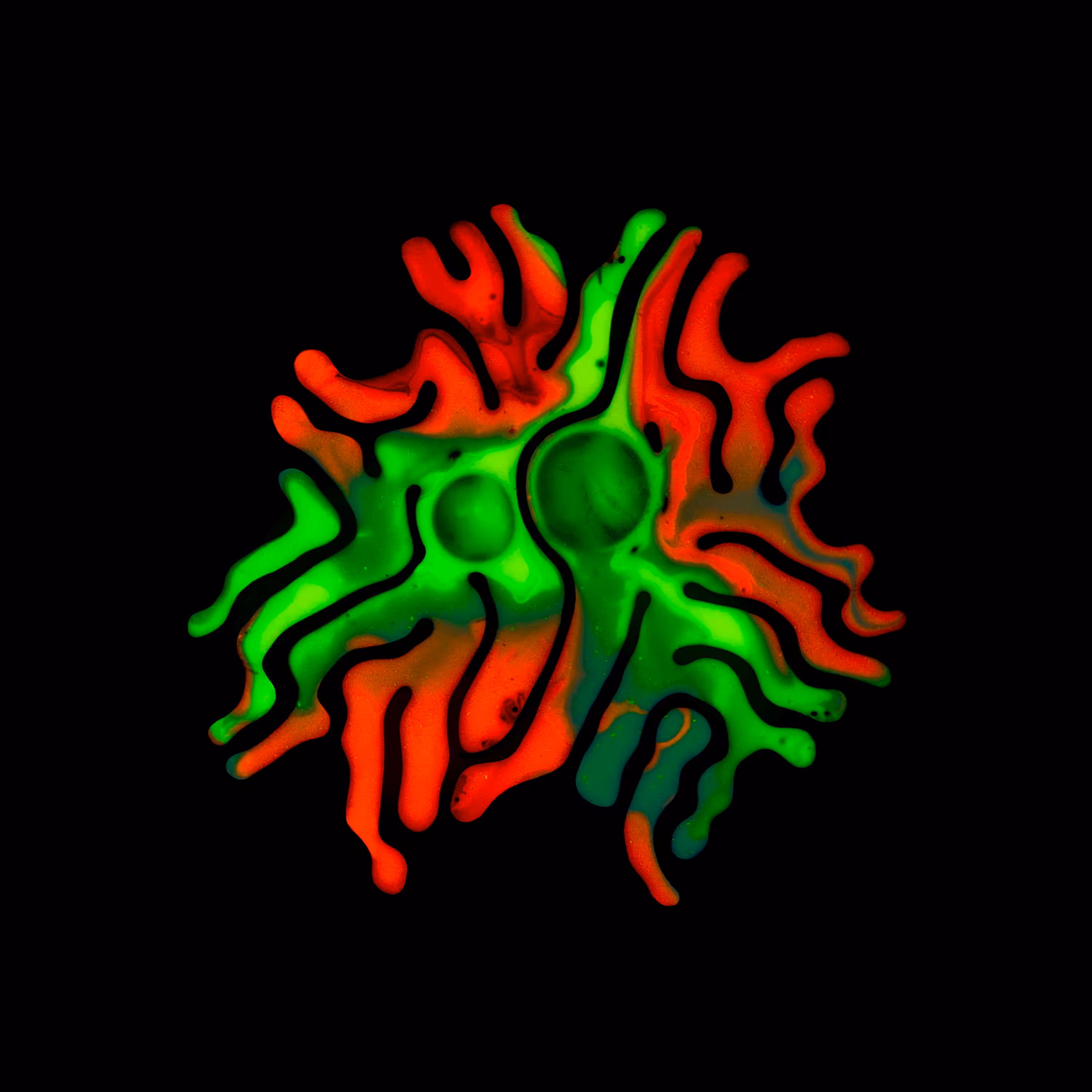 Haematopoiesis #184