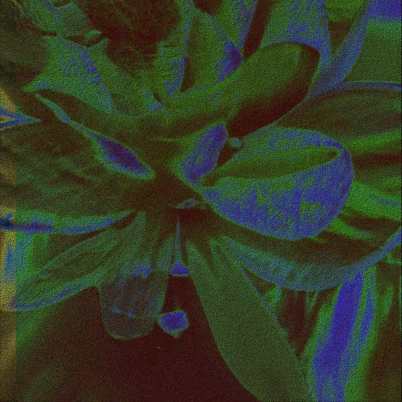CLDCSMC #81