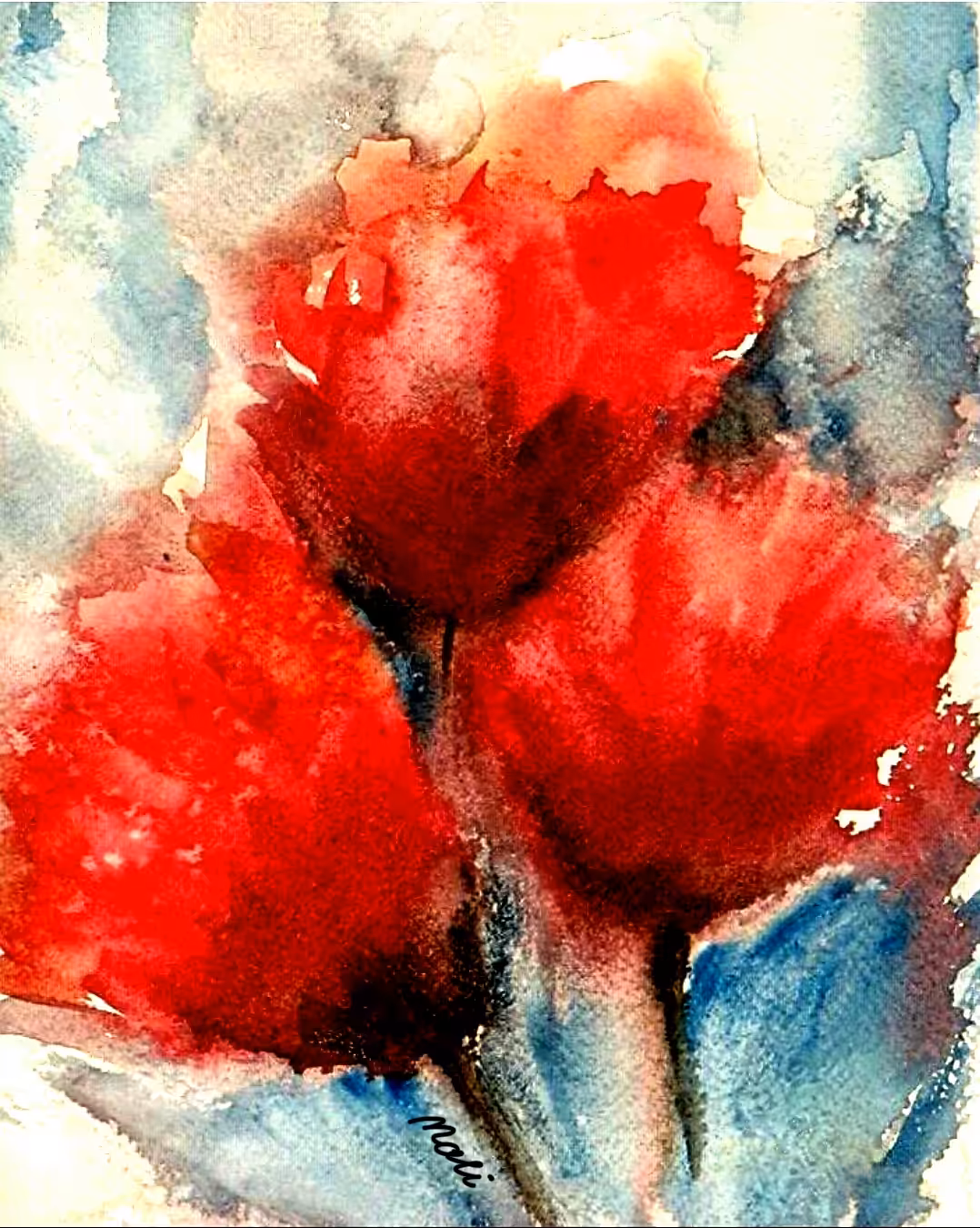  Wild Poppies 
