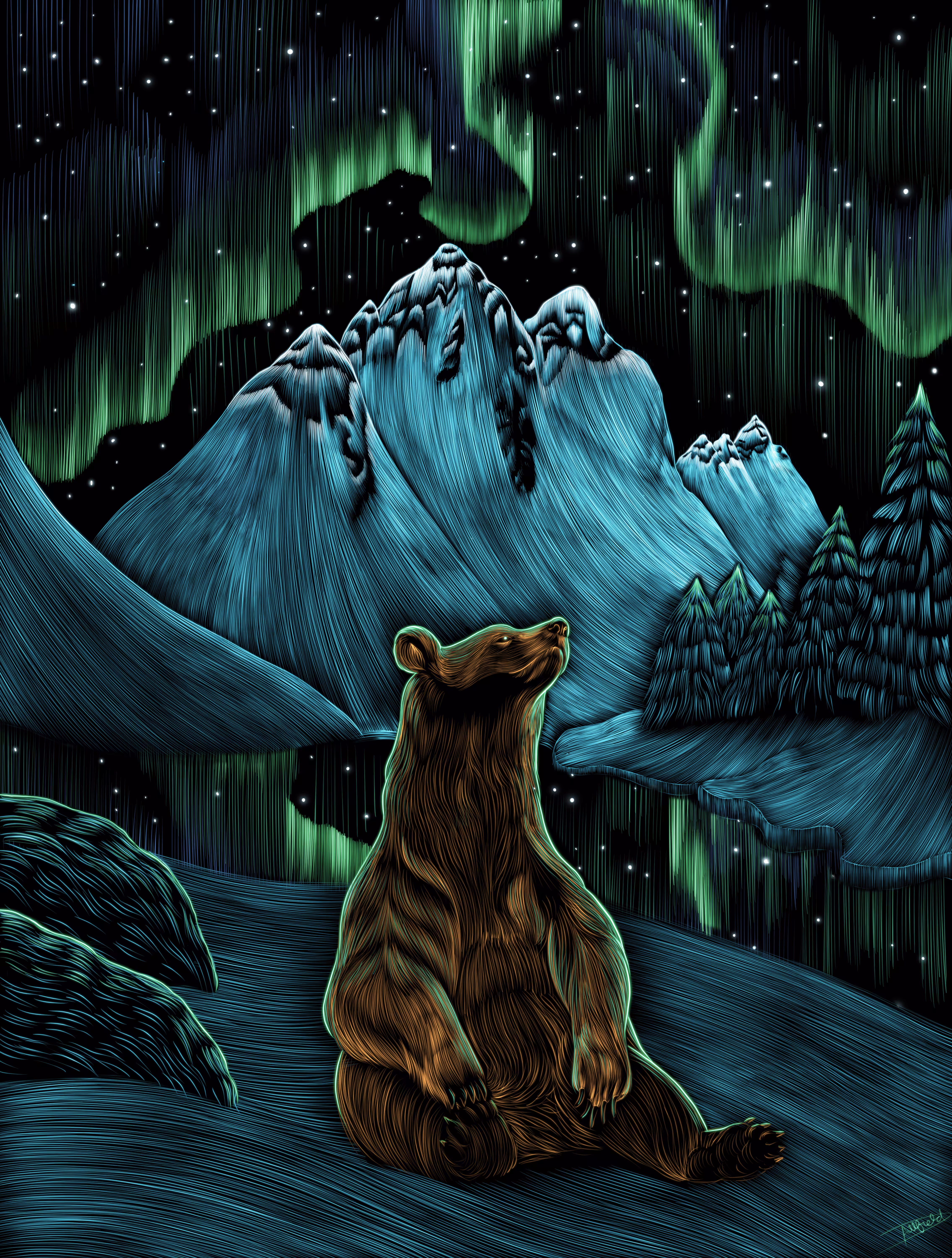 Northern Lights