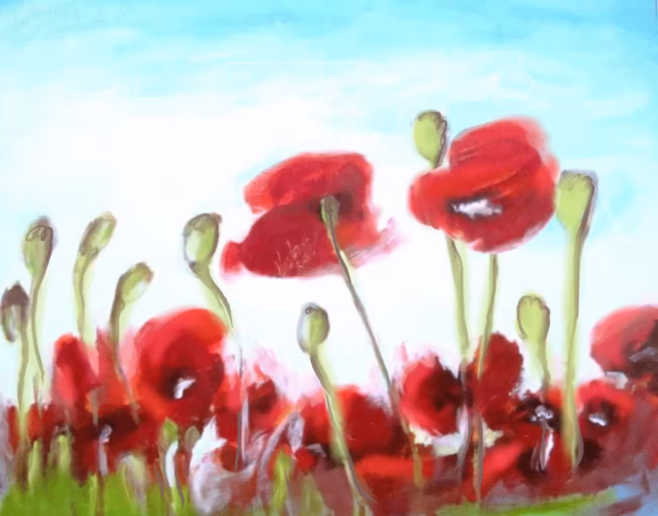 Poppies' Highness 