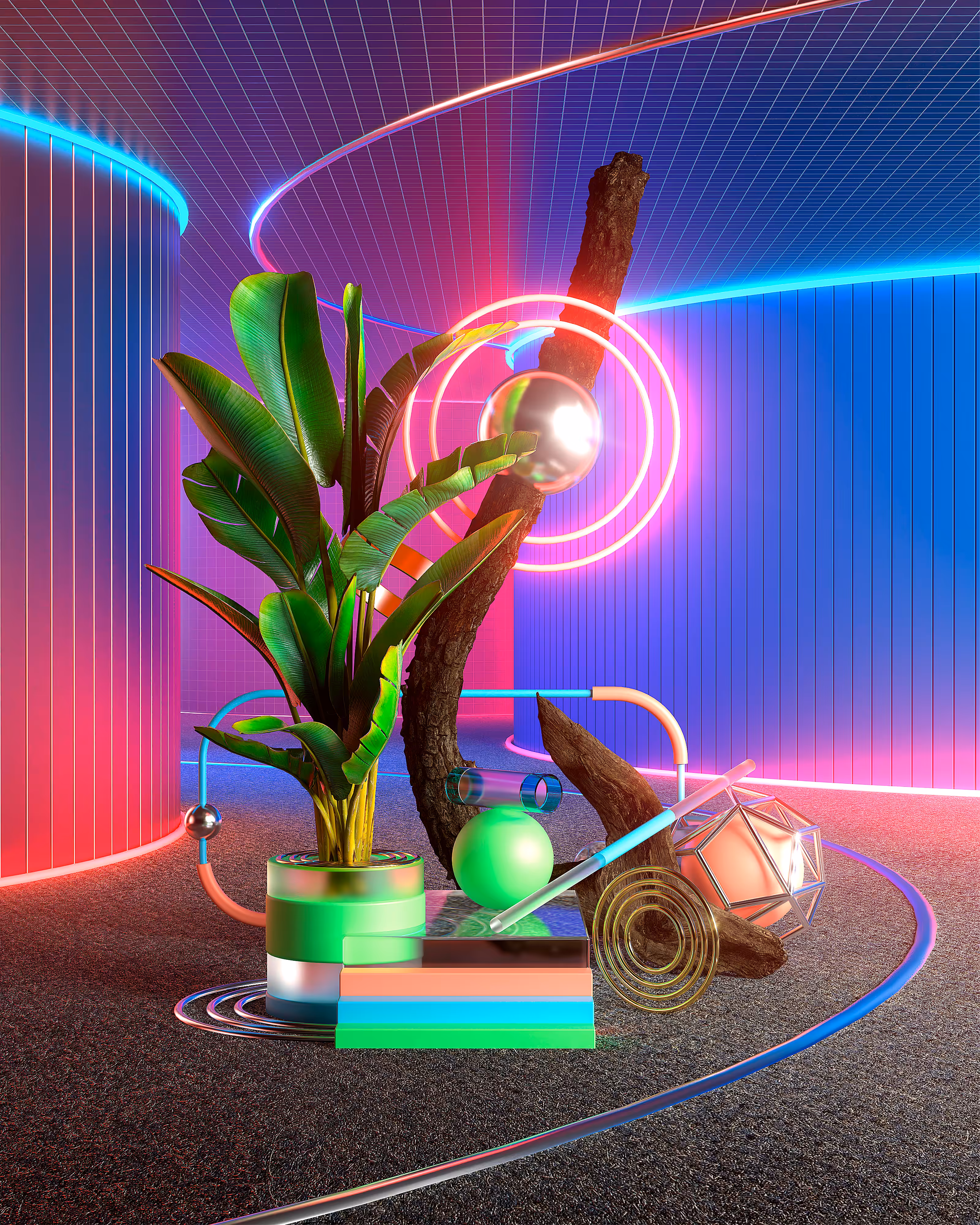 S I G N A L