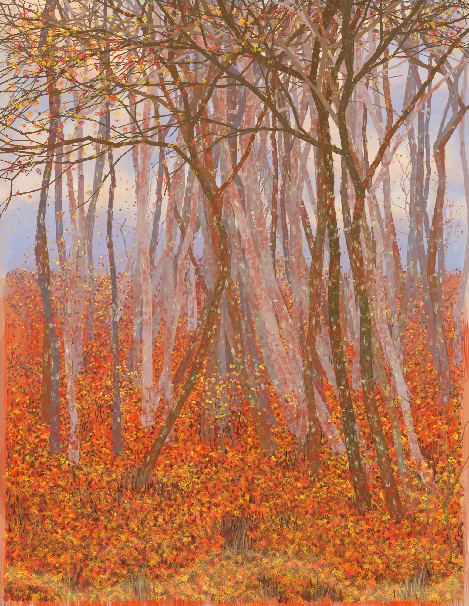 Deep Forest #225