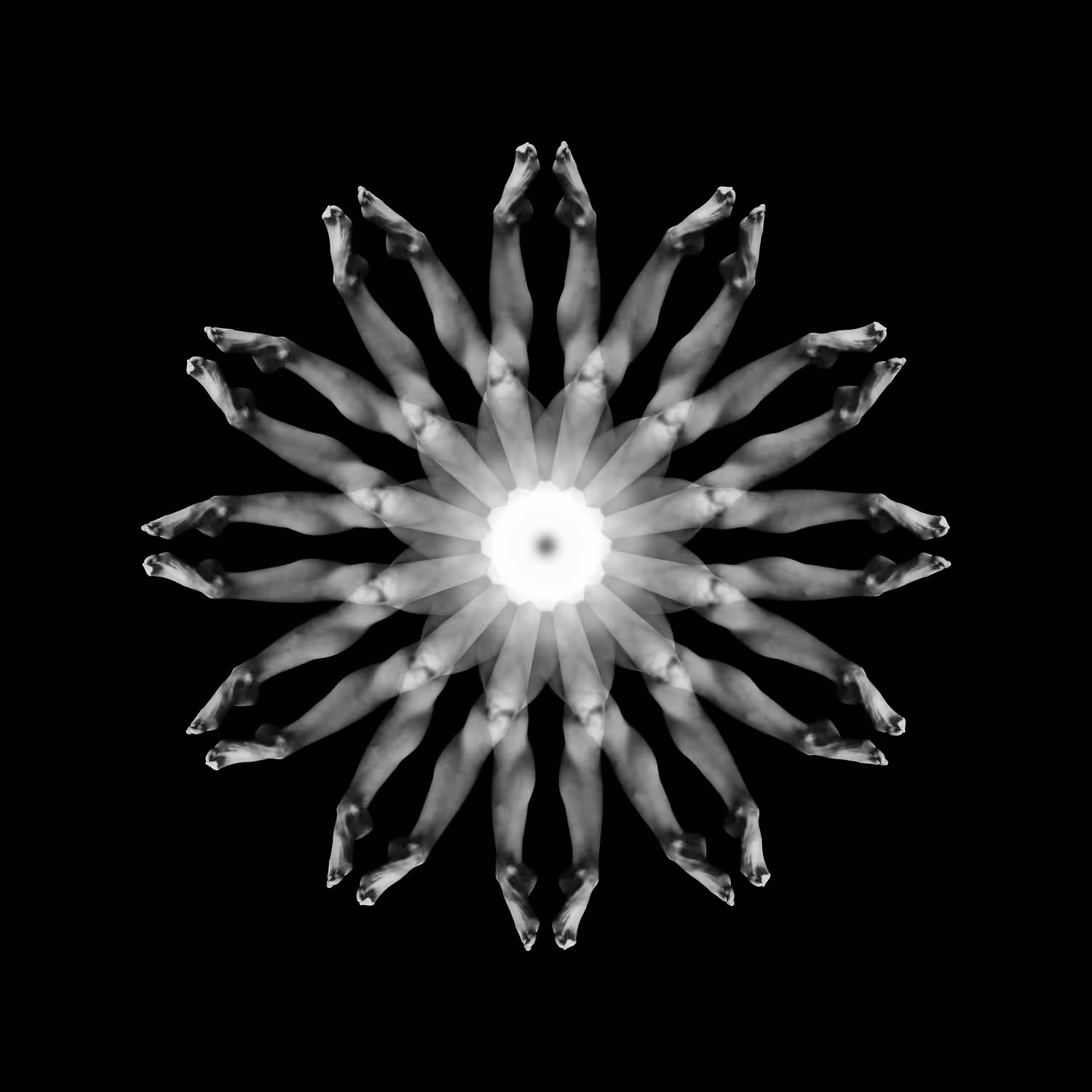 Body mandalas trip