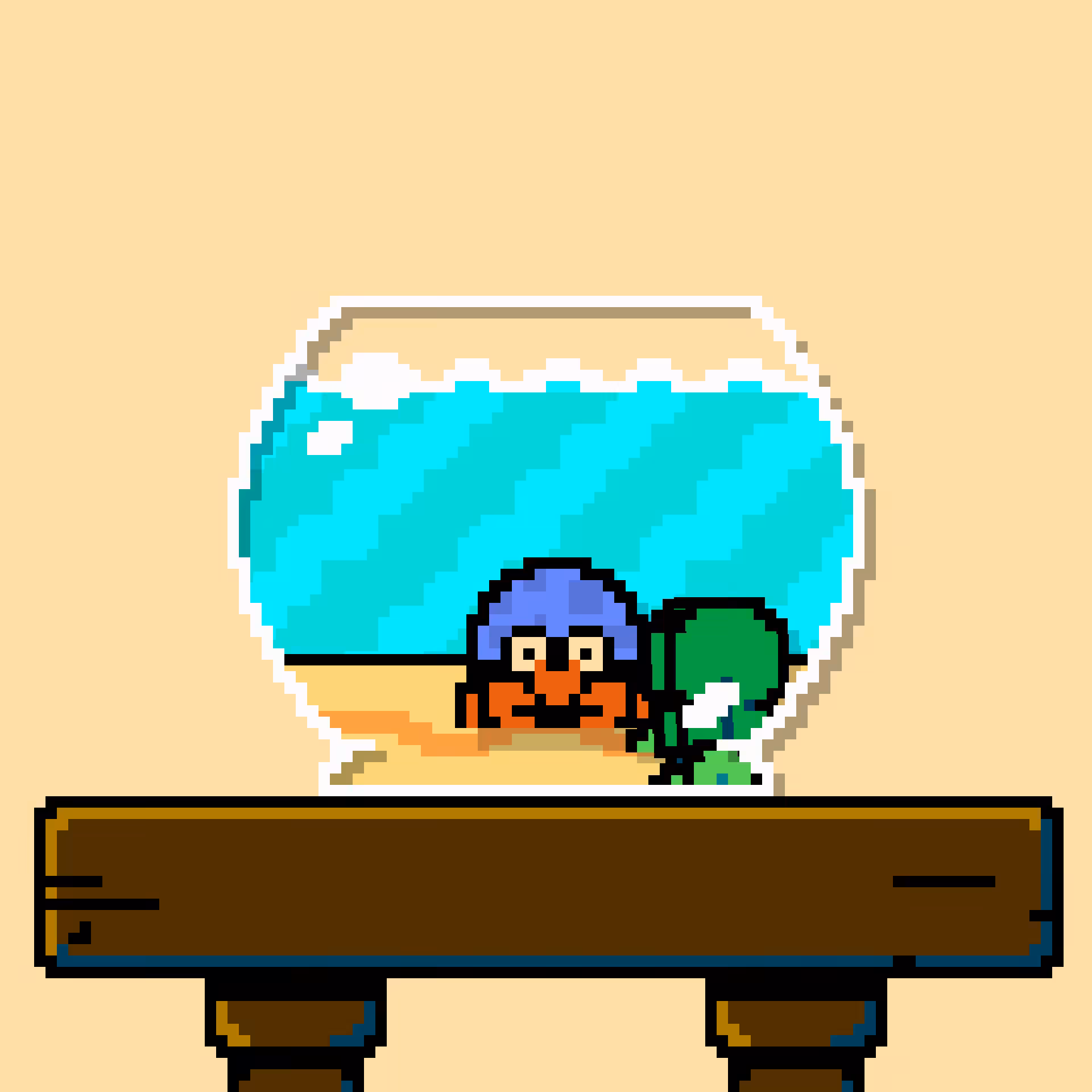 hermit crab #114