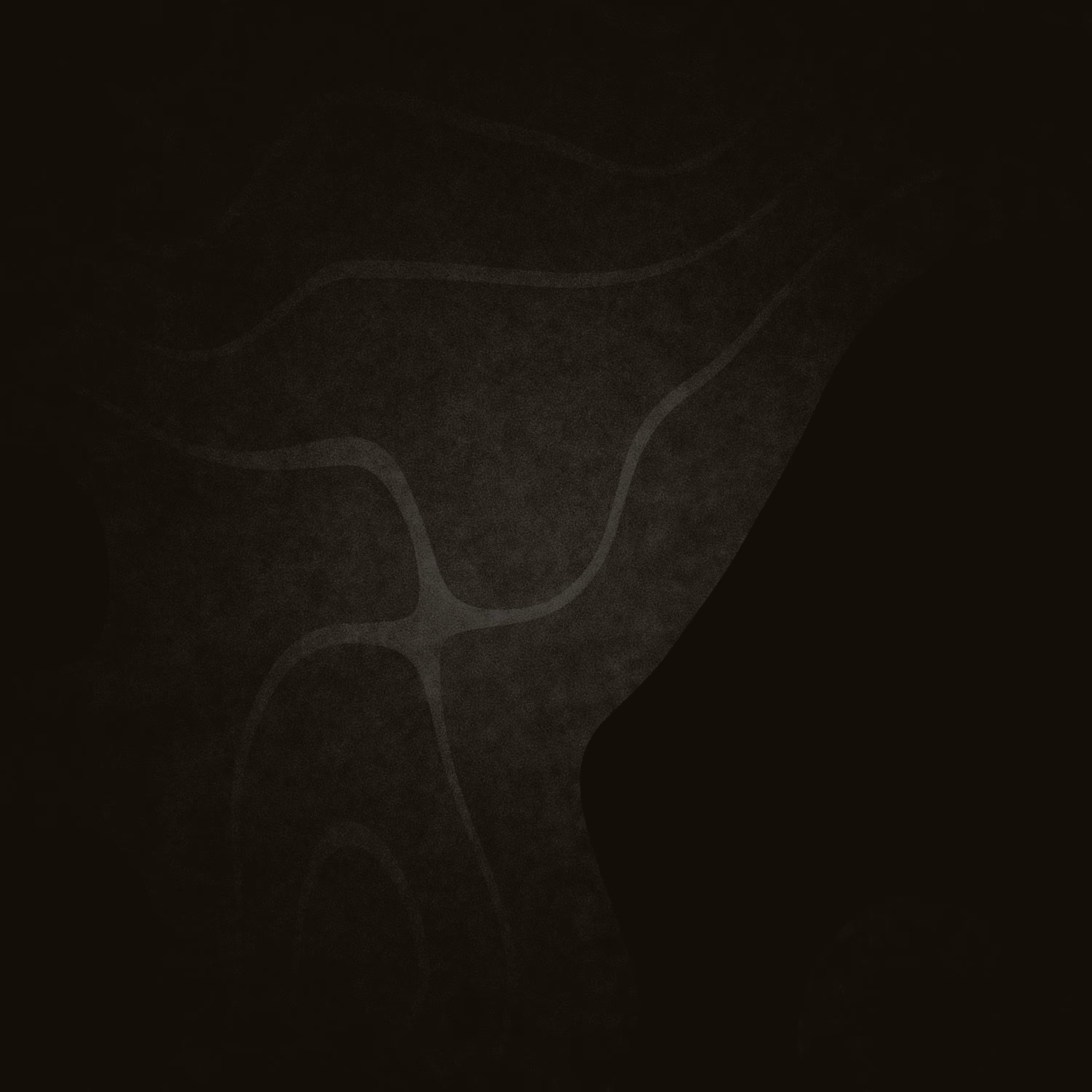 Beyond Dichotomy  #45