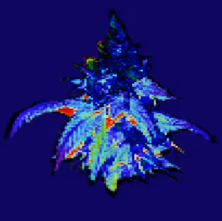  Ethereum BlueOG-048