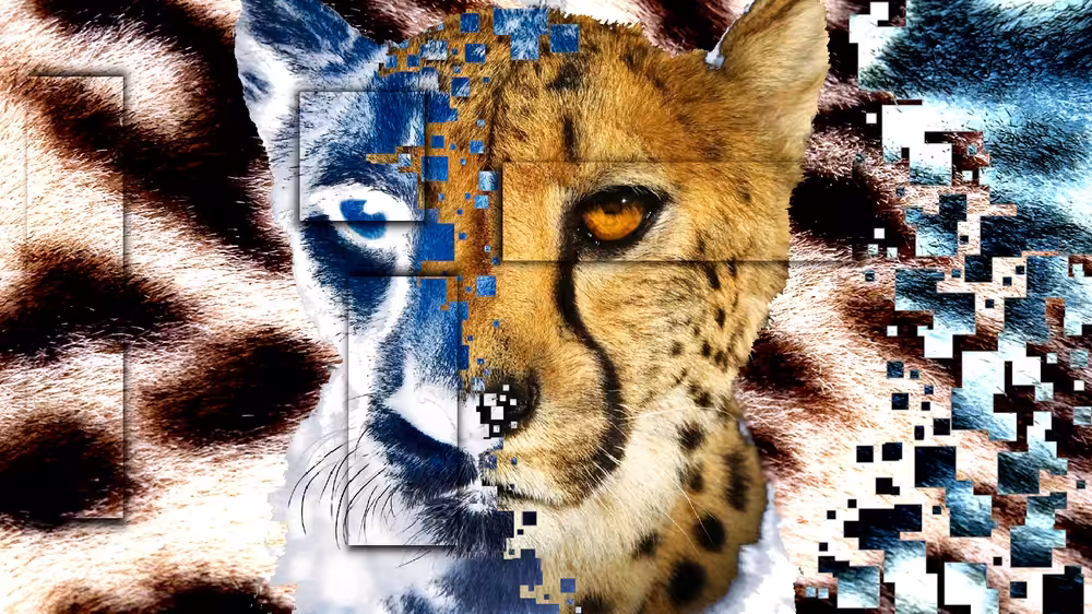 Universal Cryptosolider