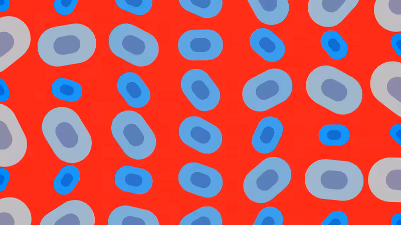 Polka #12