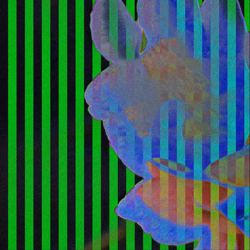CLDCSMC #115