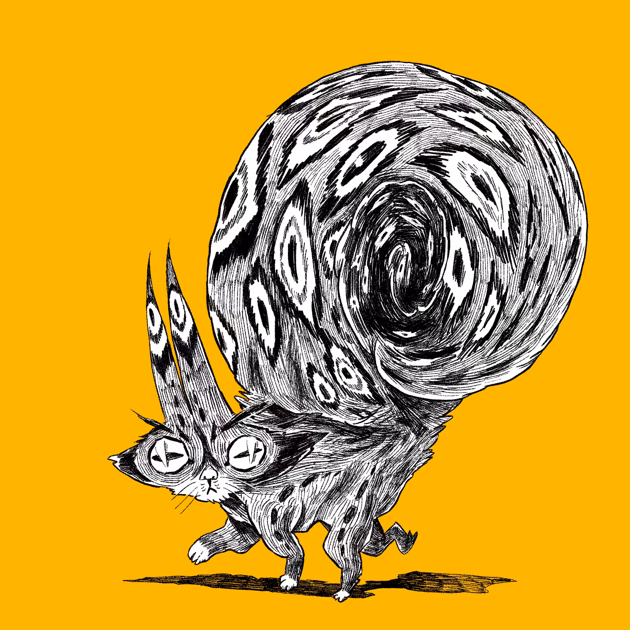SnailCat