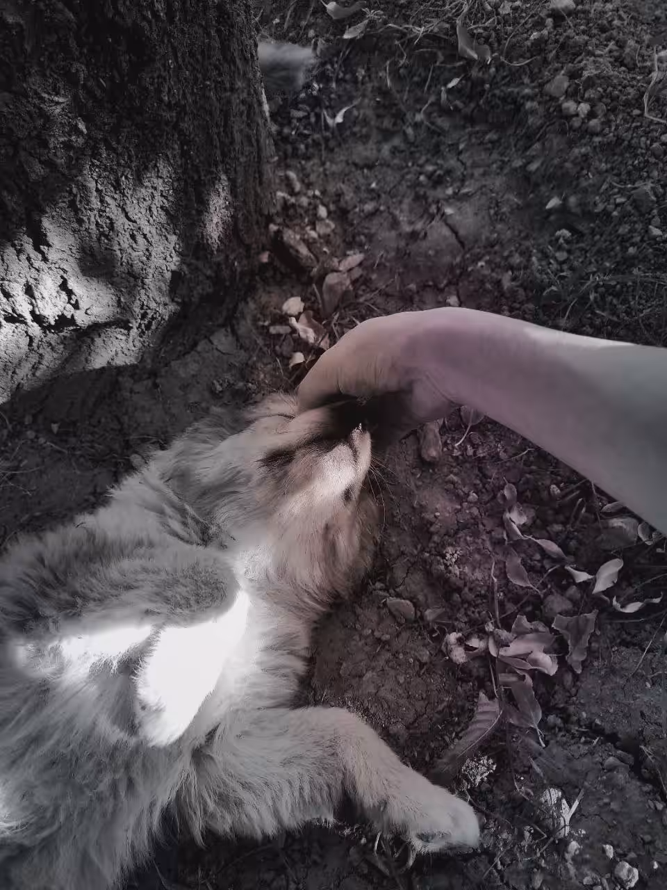 Need love