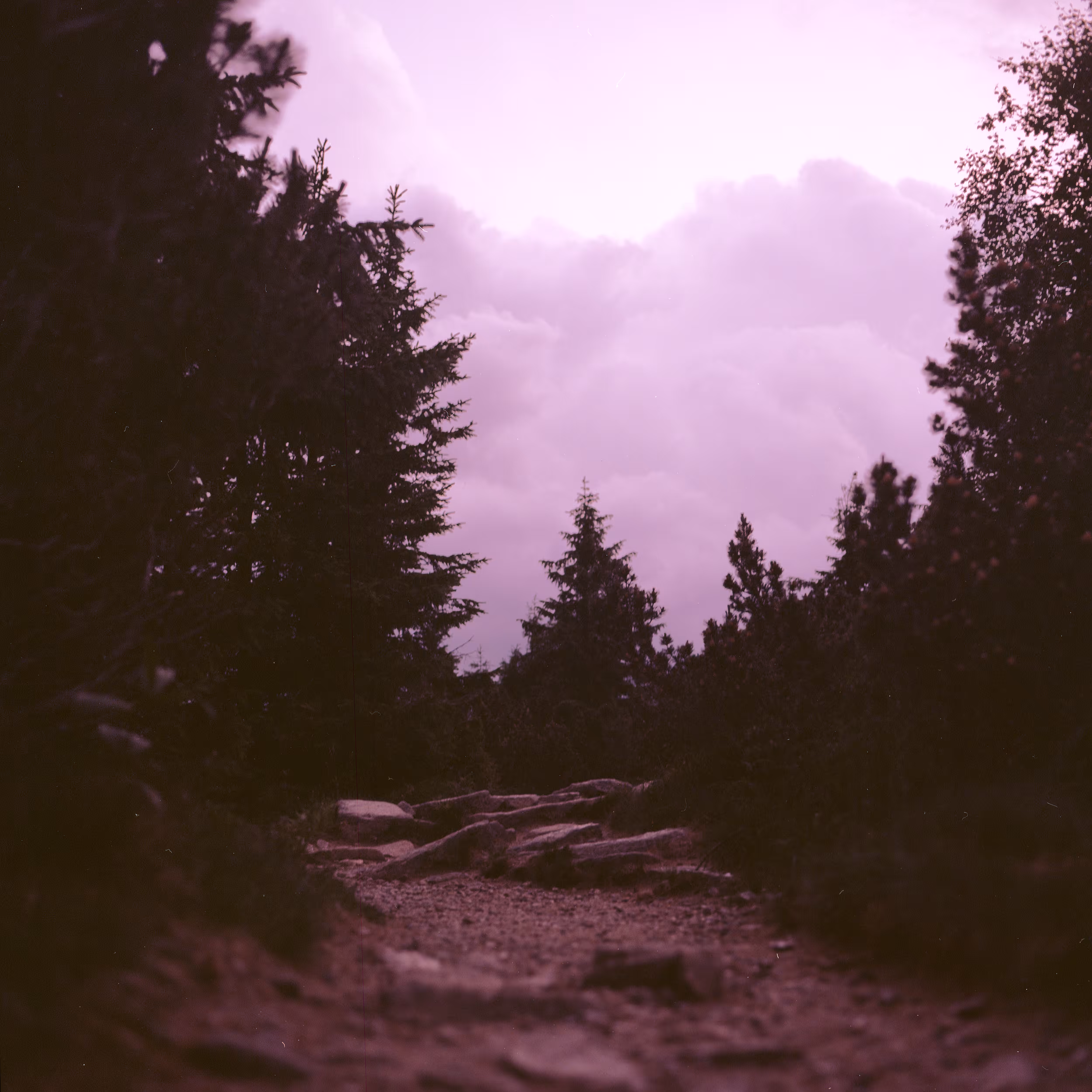 Roads Untraveled #16