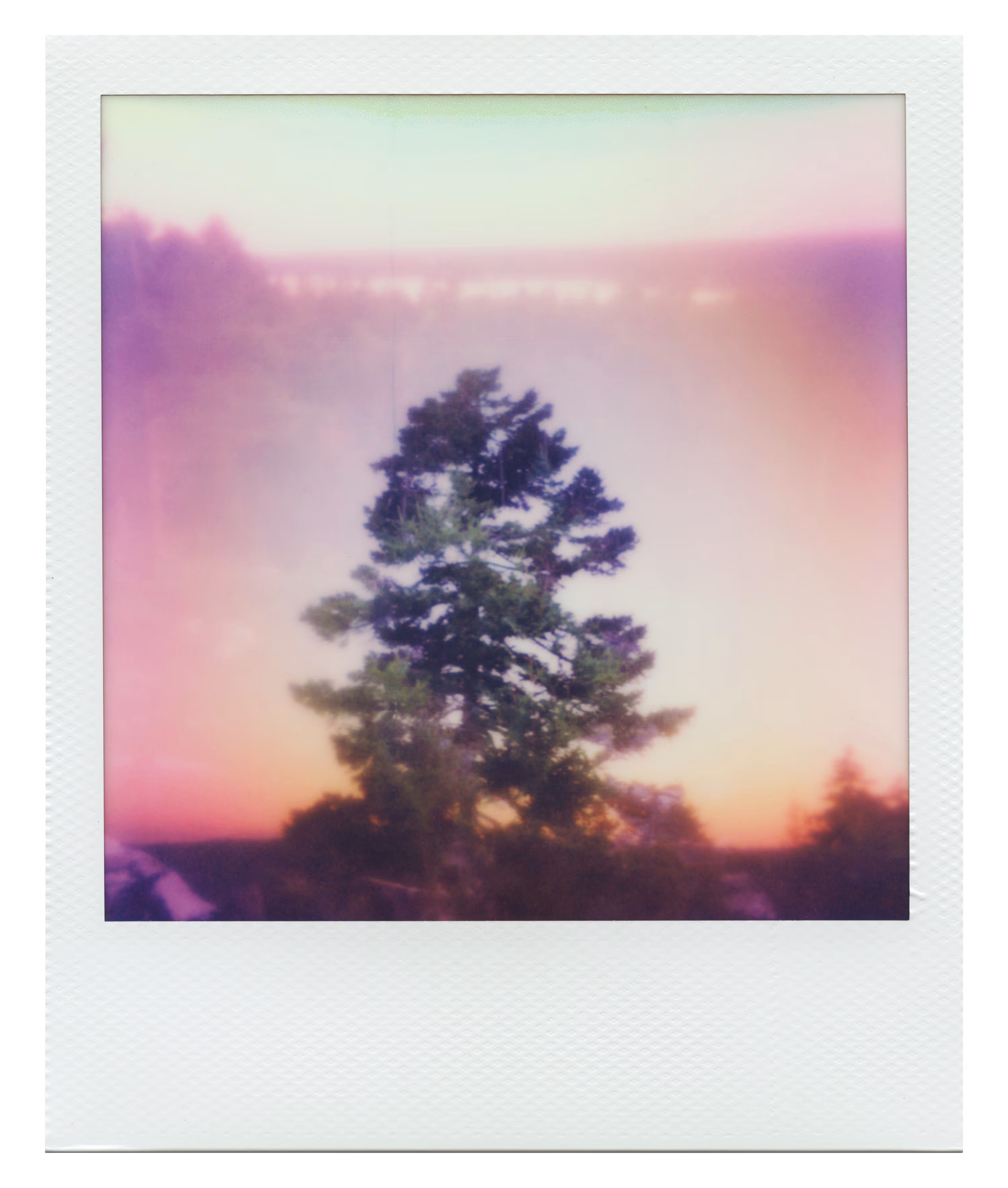 Endless Summer  |  16  | Manifestation