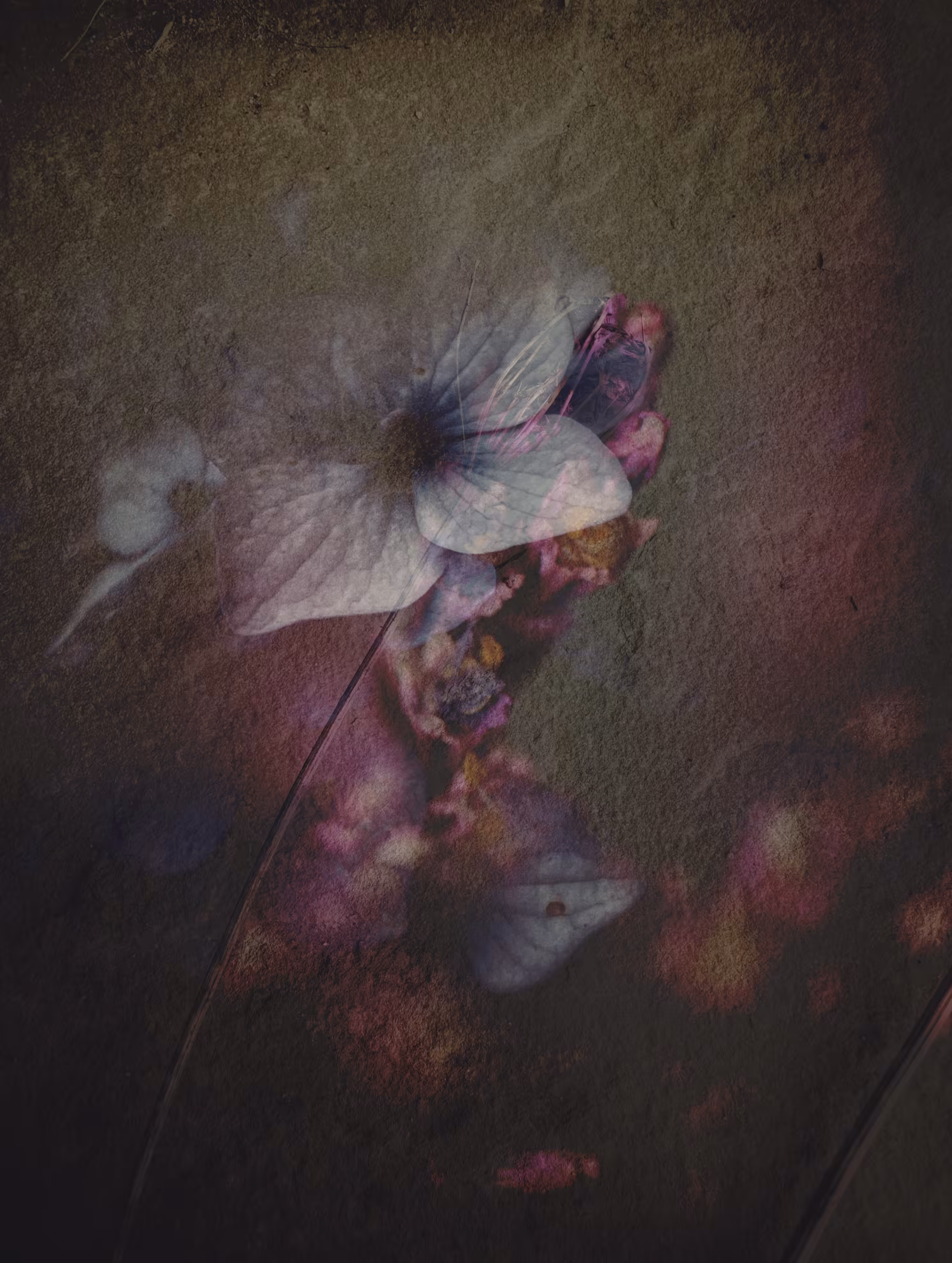 Imprint