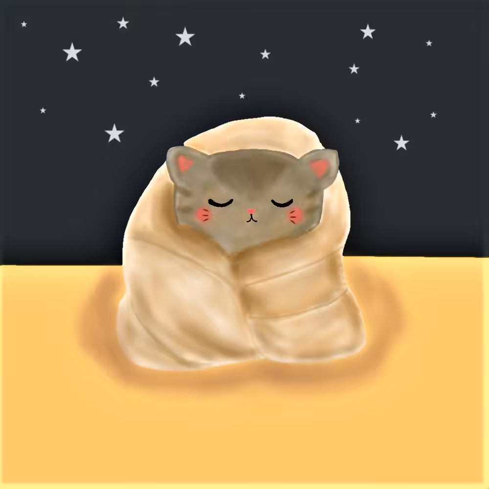 Sweet dreams Kitty!