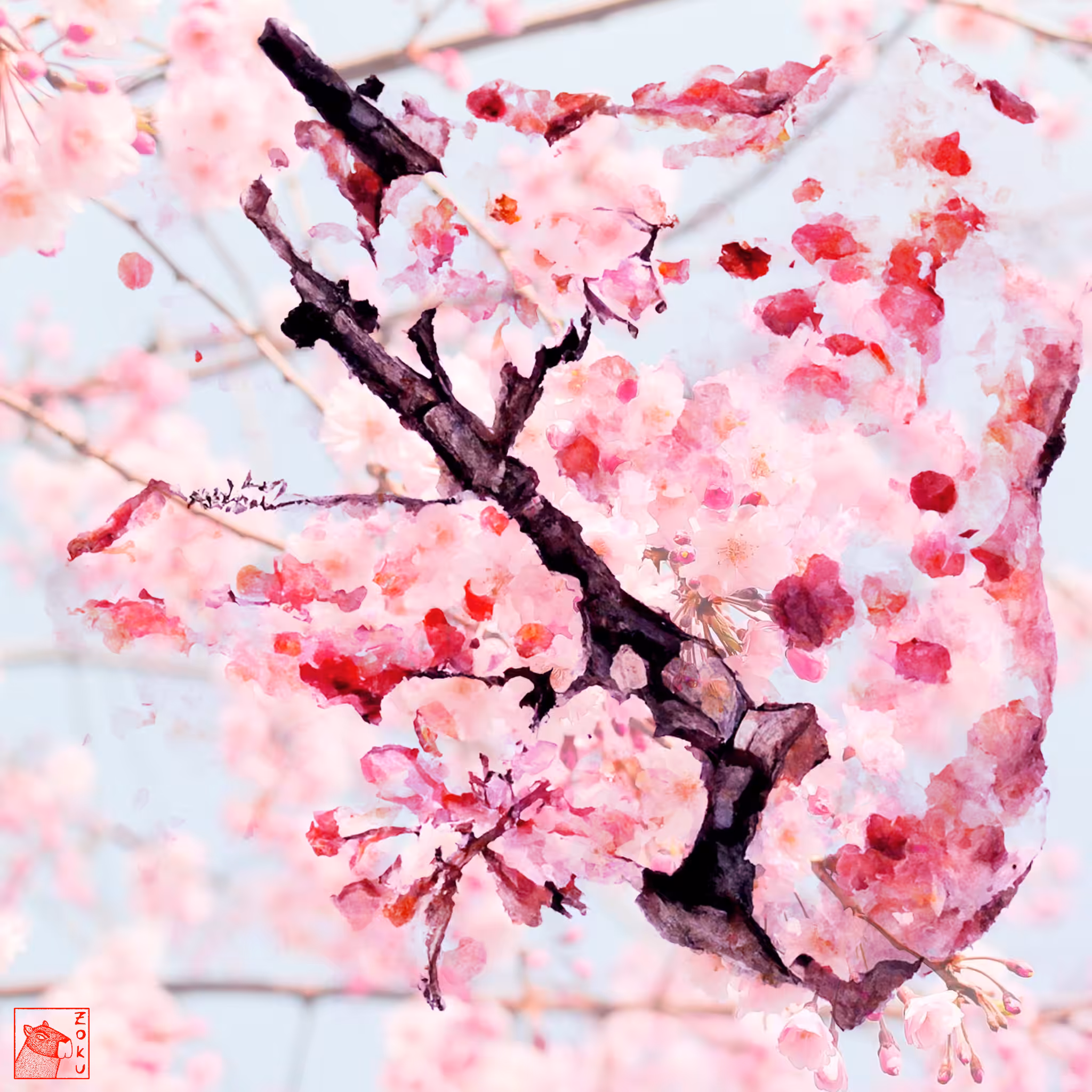Sakura