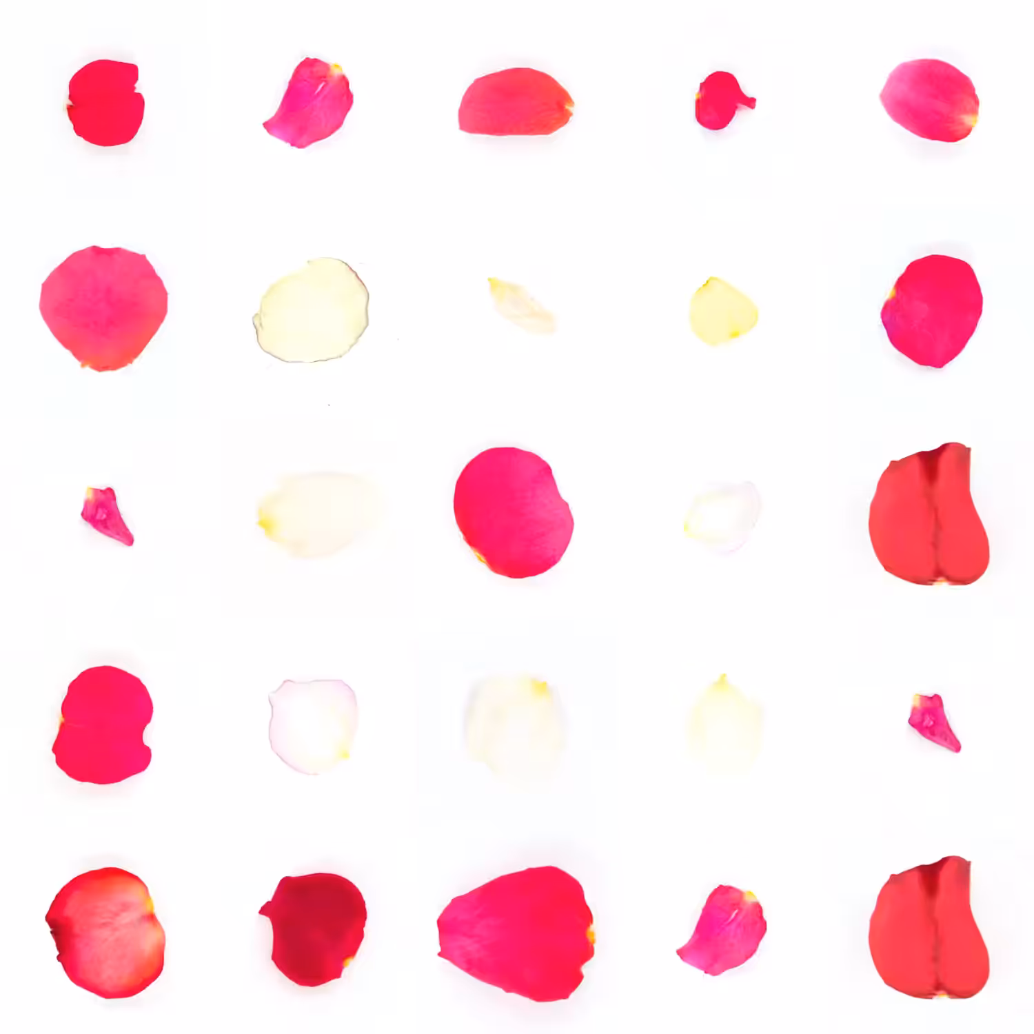 Infinite Petals 5x5#20360