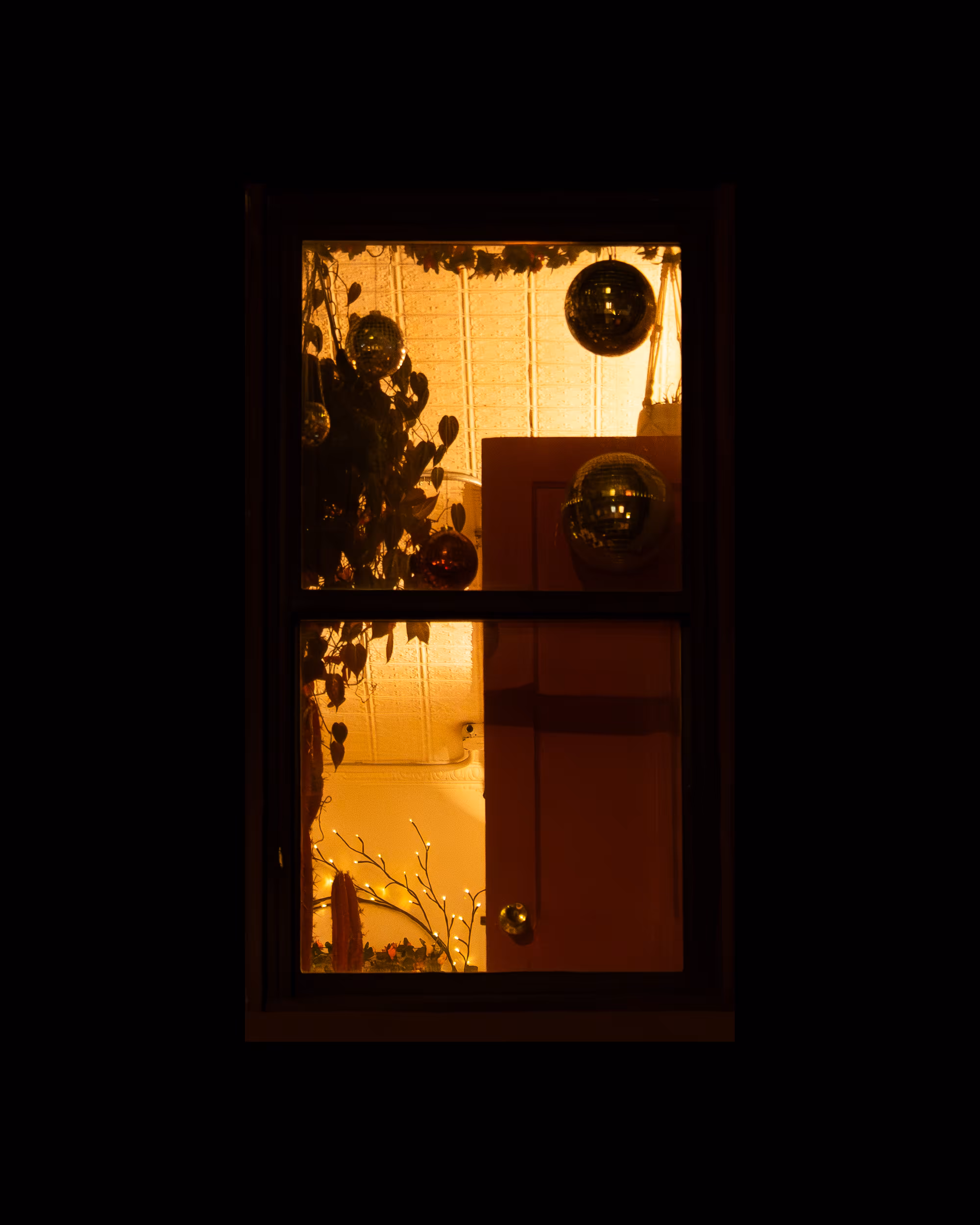 WINDOW 221
